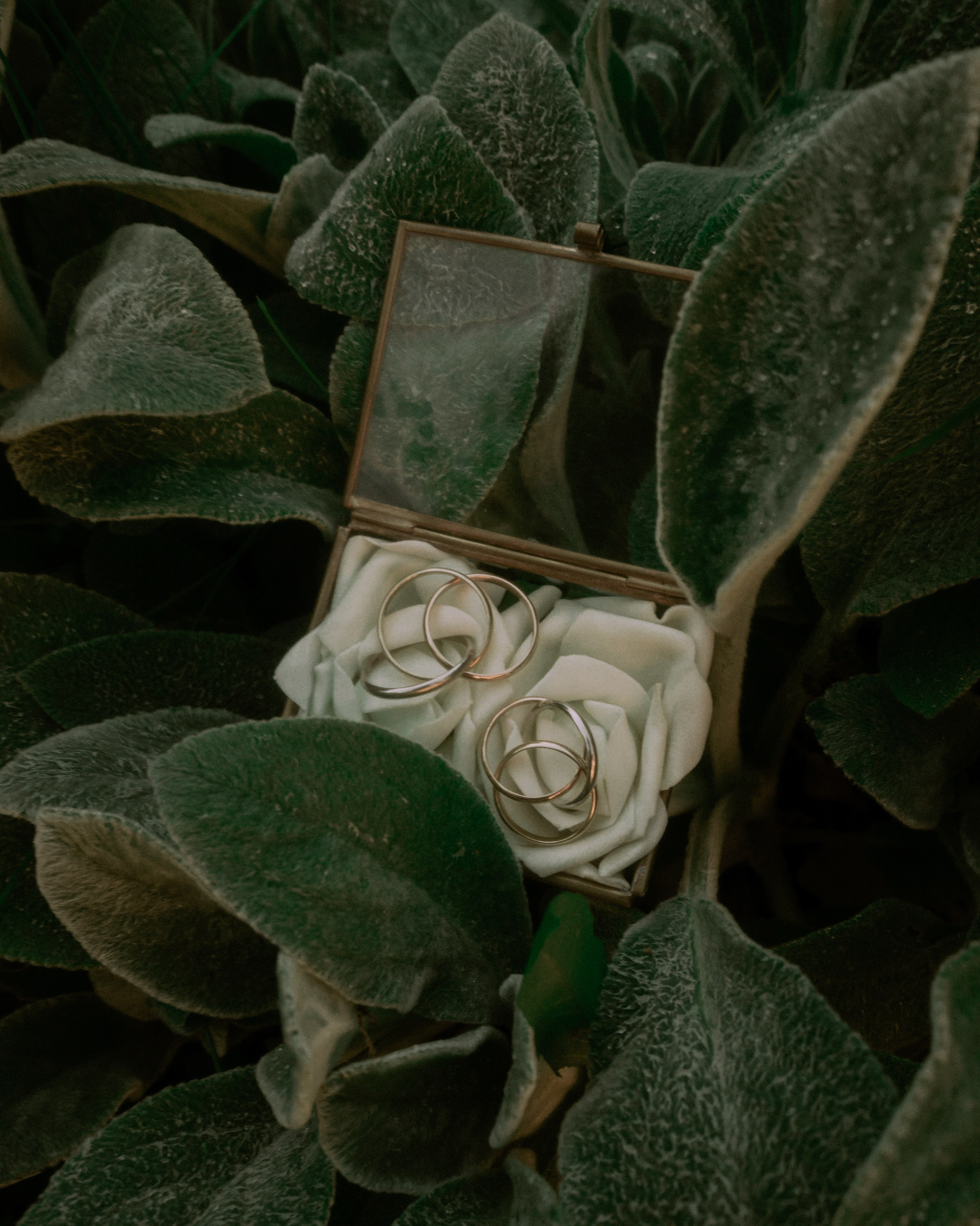 Свадебная субмарина'. Свадебный фотограф в Санкт-Петербурге Миша Репина