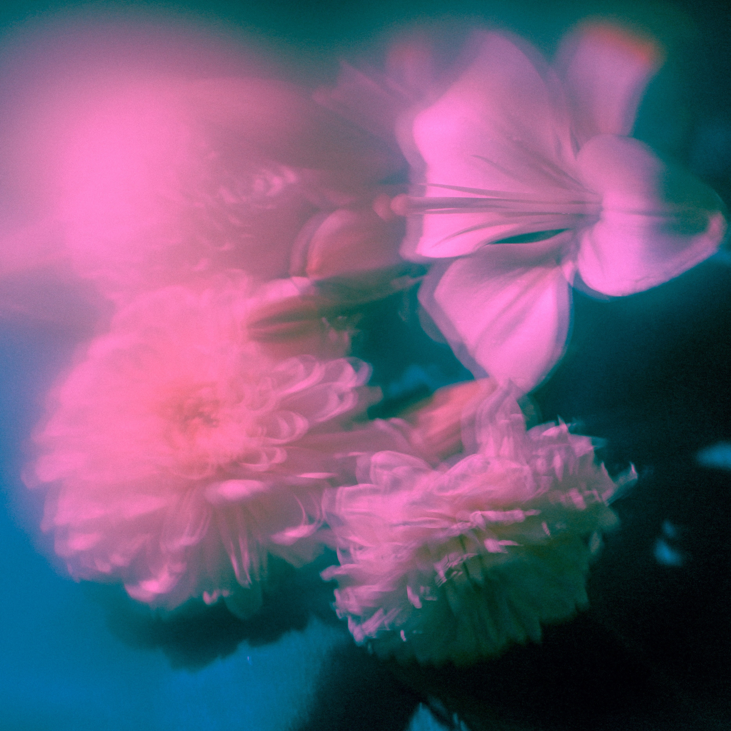 Курс «БОЛЬШОЙ И ГРОМКИЙ!». Университет по фотографии Игоря Мальцева