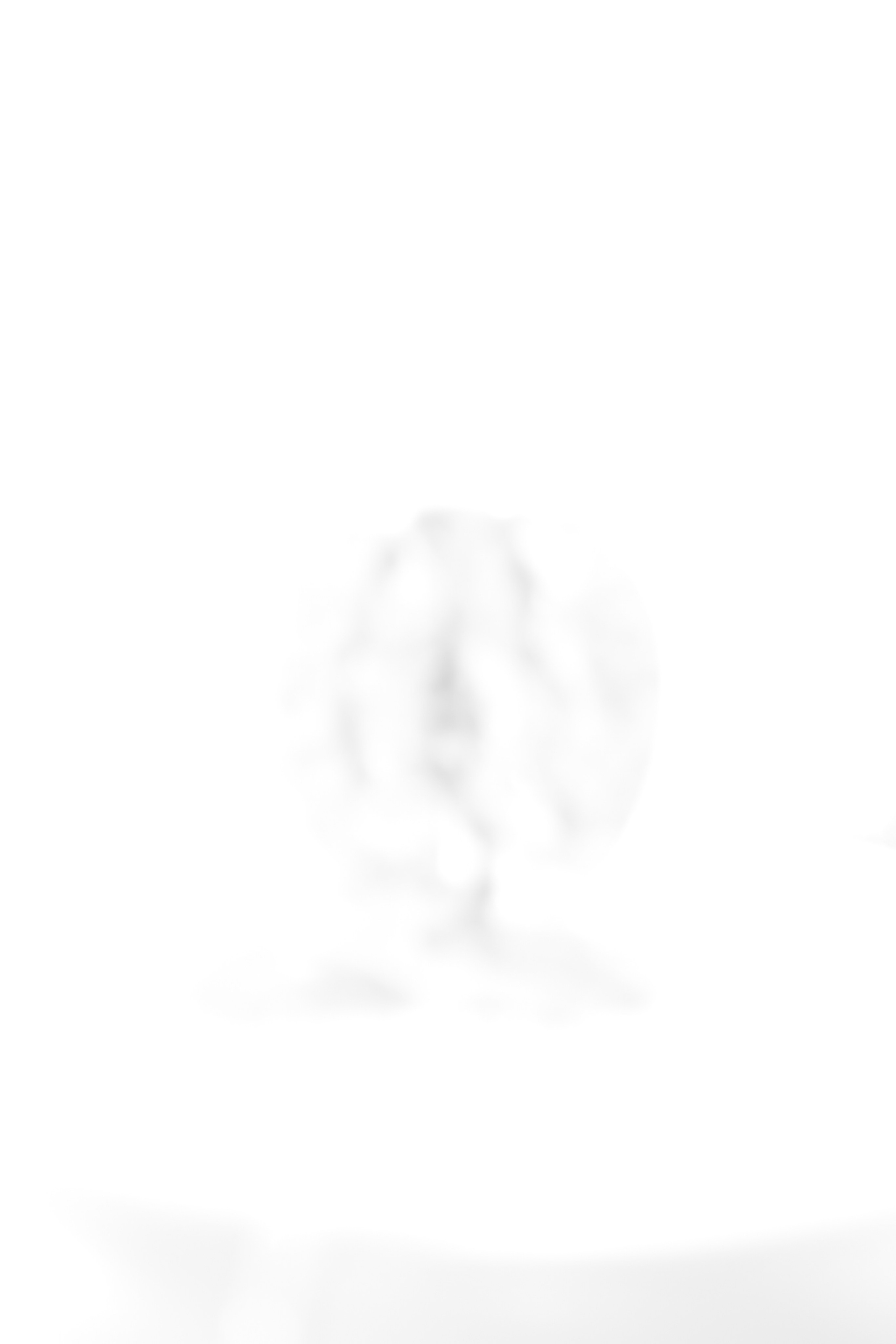 Art. Арт — фотограф Евгений Наймушин Новокузнецк