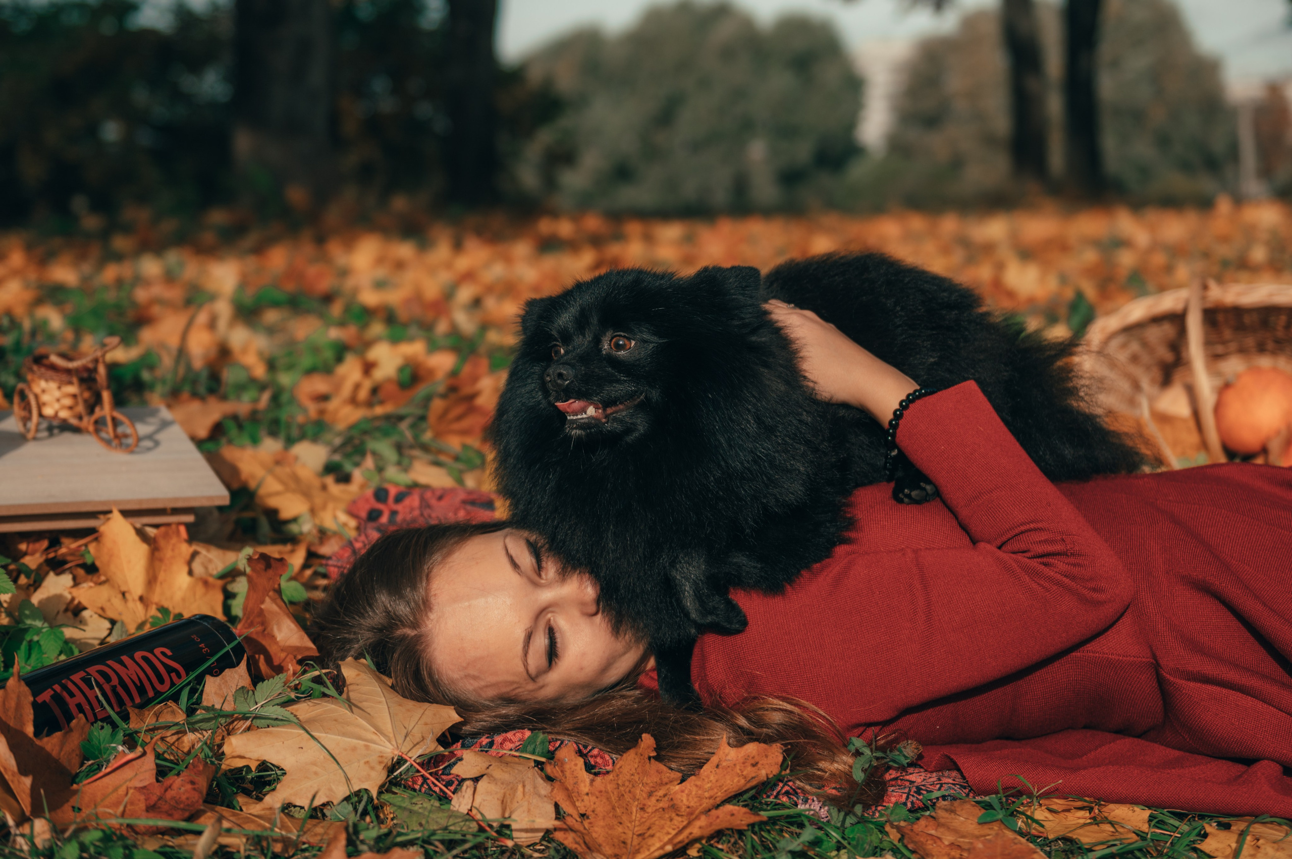 Дождь из листьев. Свадебный и семейный фотограф София Невская