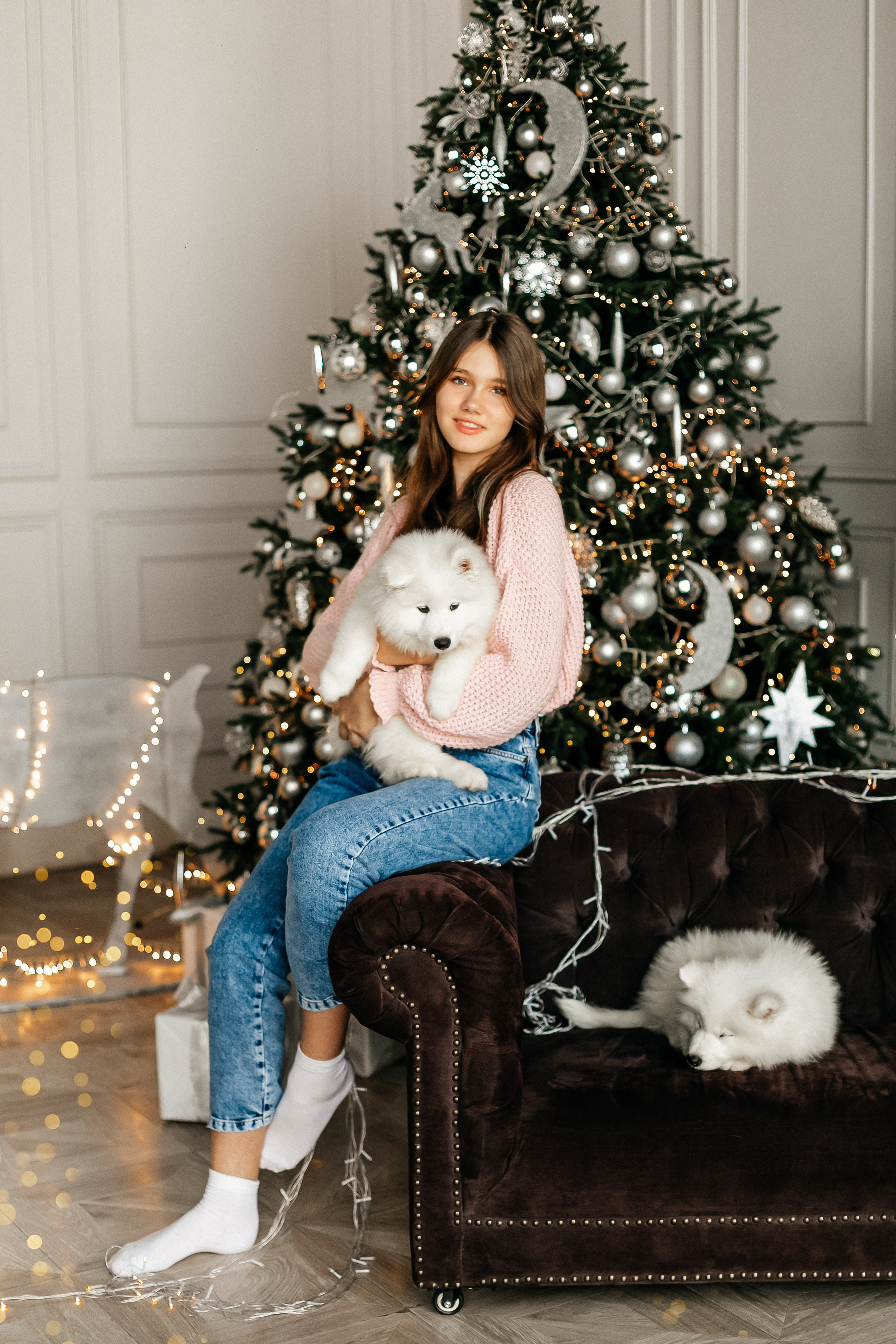 Фотосессия с животными в студии. Фотопроекты, фотодни и фотосессии в Москве