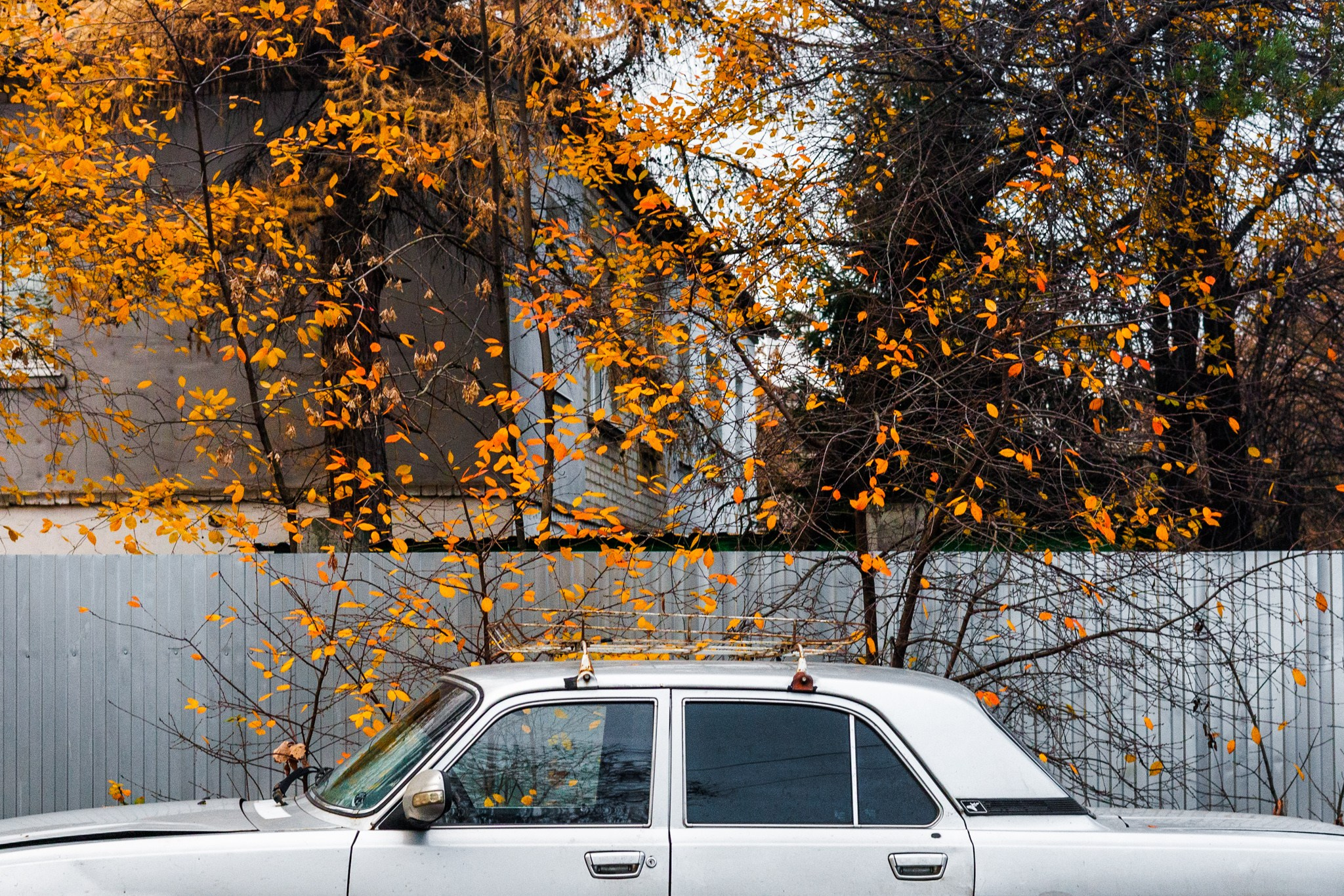Ленинский район и городошный стадион, 26.10.25