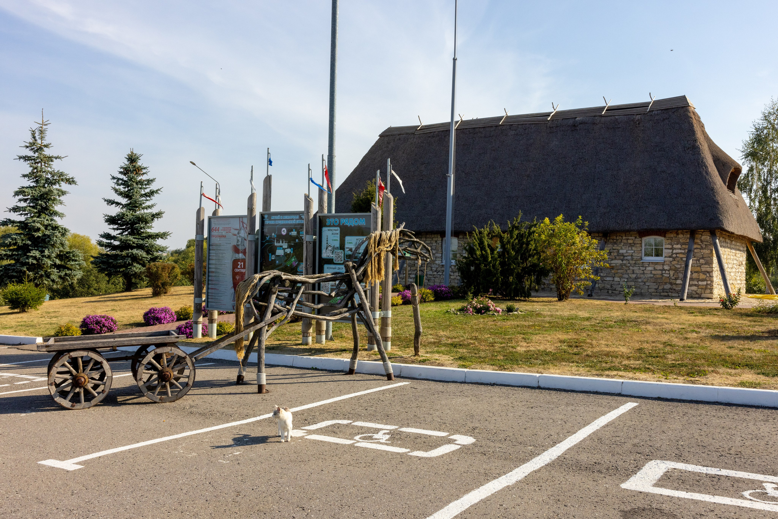 Поездка на поле Кулеково. Фотограф в Туле Крупский АнДРей. Фотостудия «КАДР71» в Туле