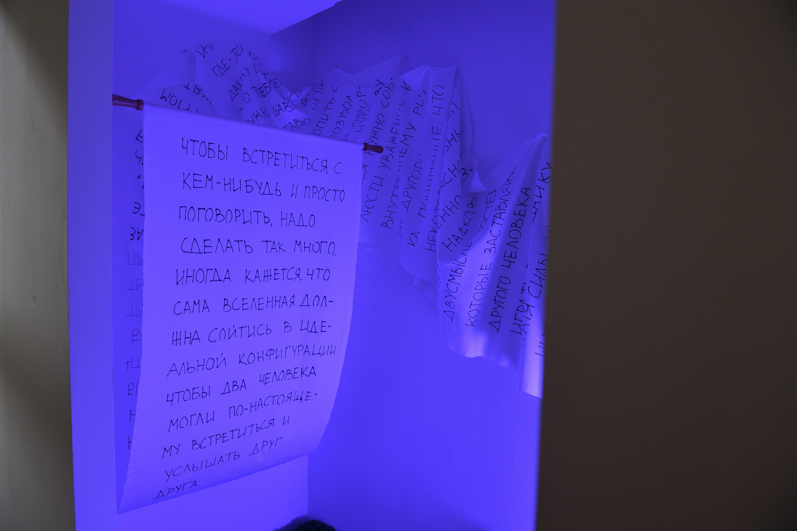 У (единение) дуэтная выставка. Современный художник в Москве Анастасия Малиновская