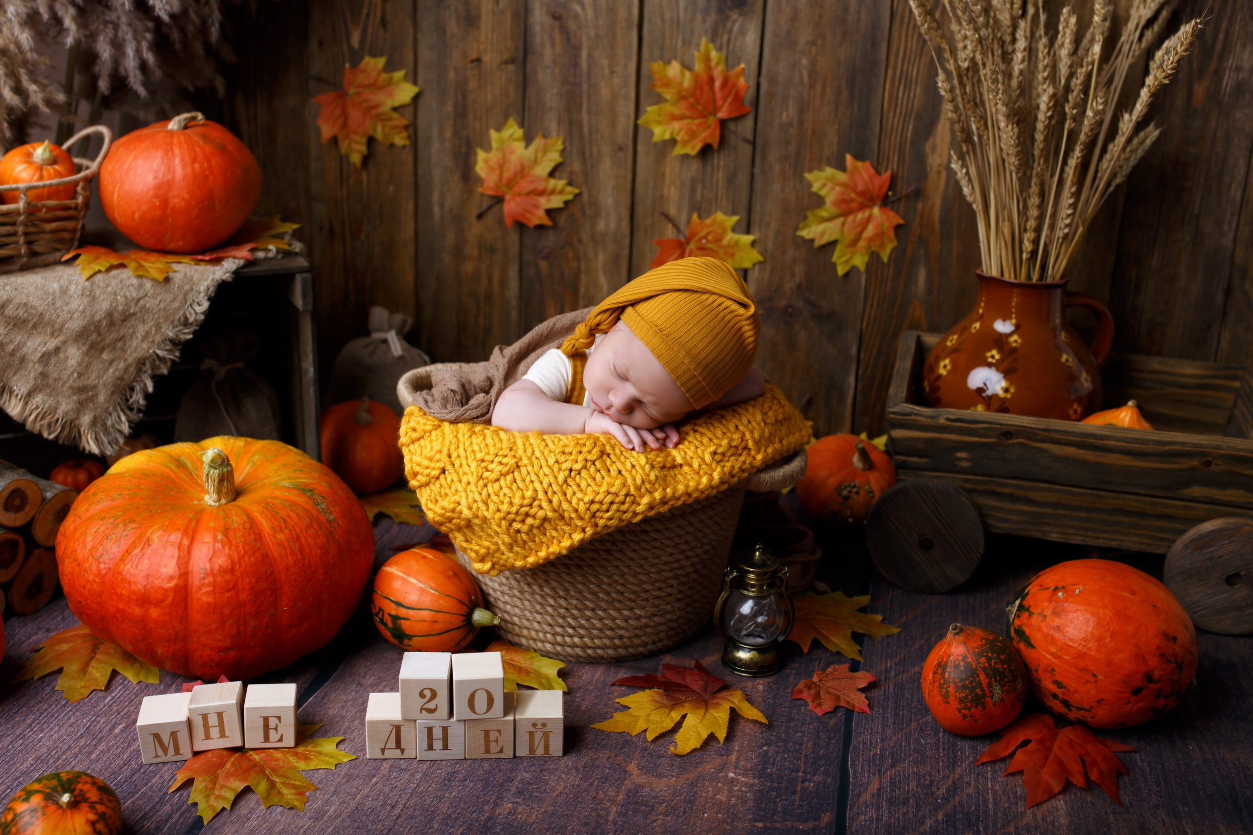 Фотосессия newborn (малыши). Фотограф новорожденных Ростов-на-Дону