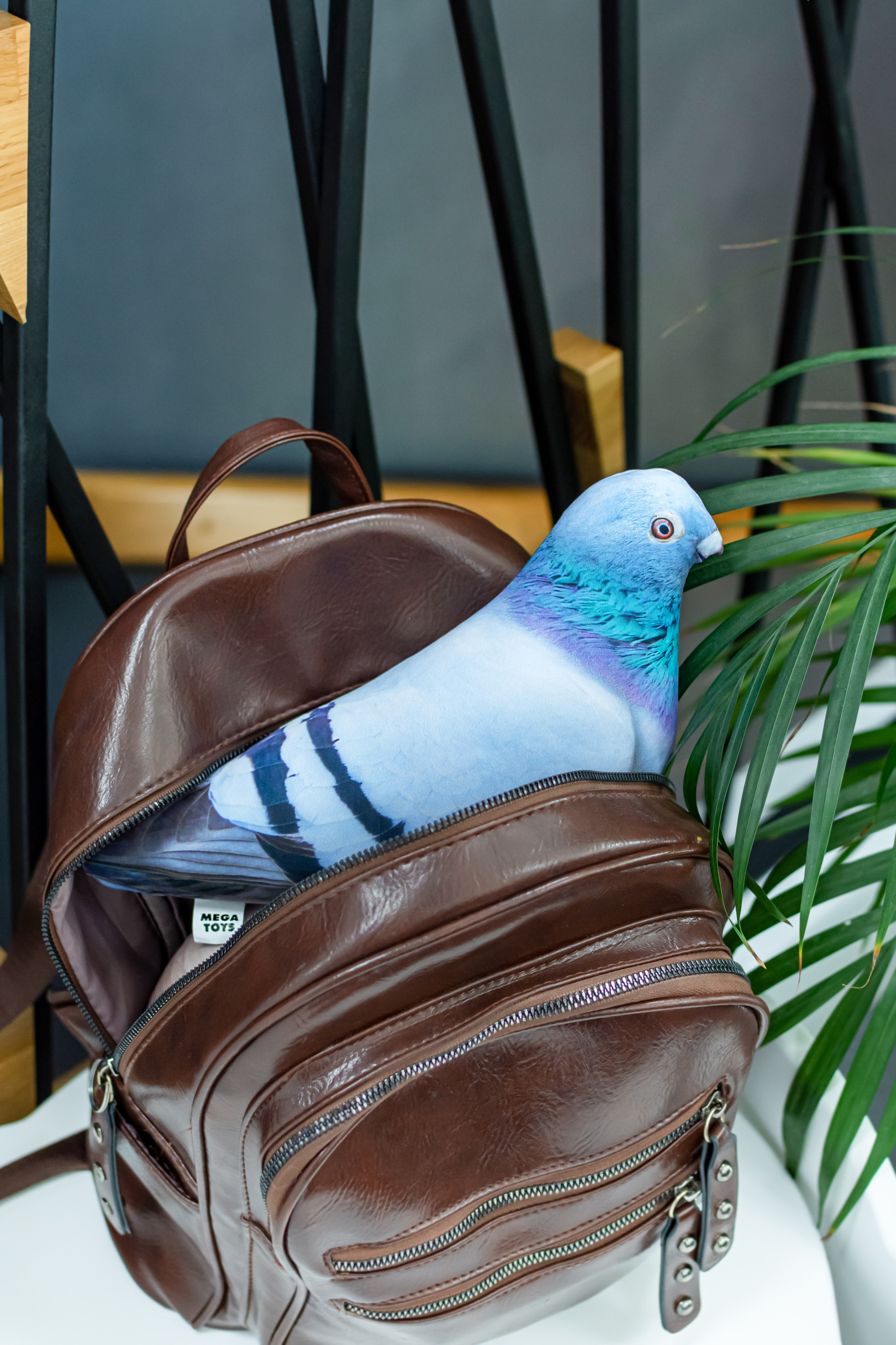 Антистрессы. Семейный и свадебный фотограф Галина Абакумова, фотосессии в Белгороде