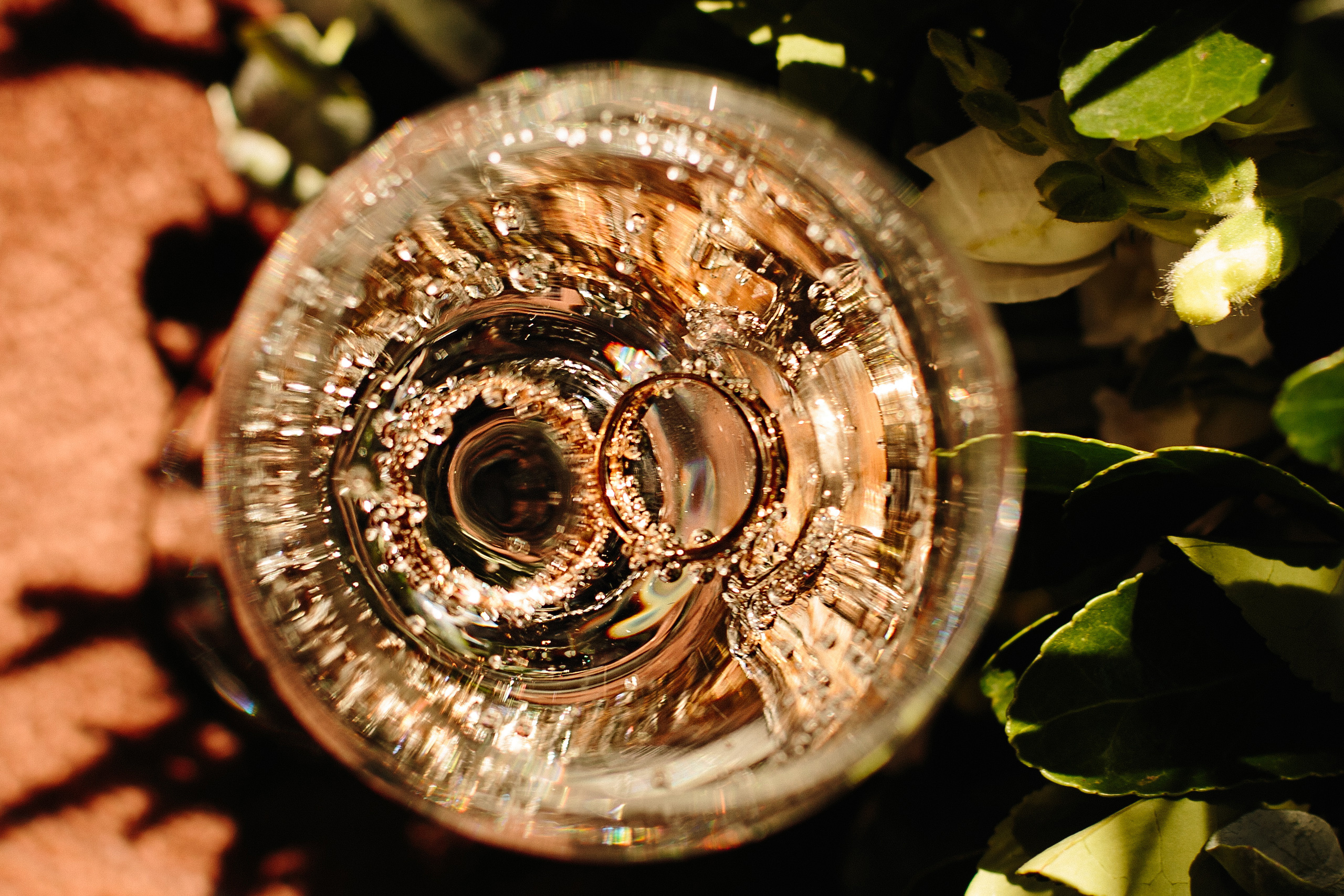 Алексей и Анастасия (сентябрь 2017). Свадебный  и семейный фотограф в Краснодаре