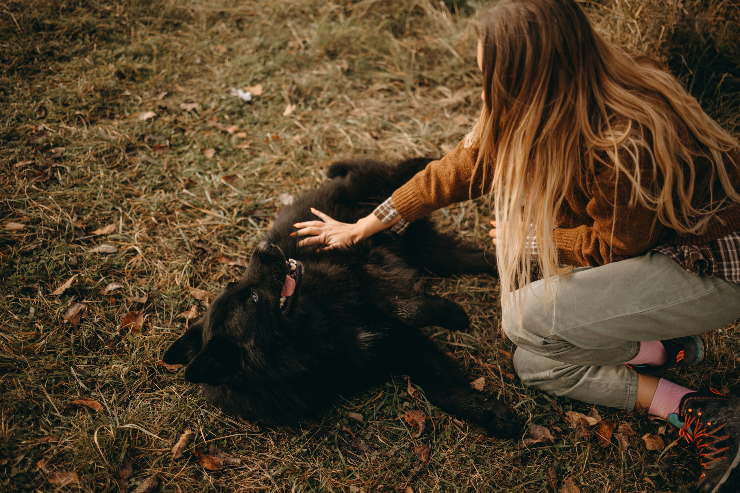 Лора и Джанго. Фотограф — Анималист | Санкт-Петербург
