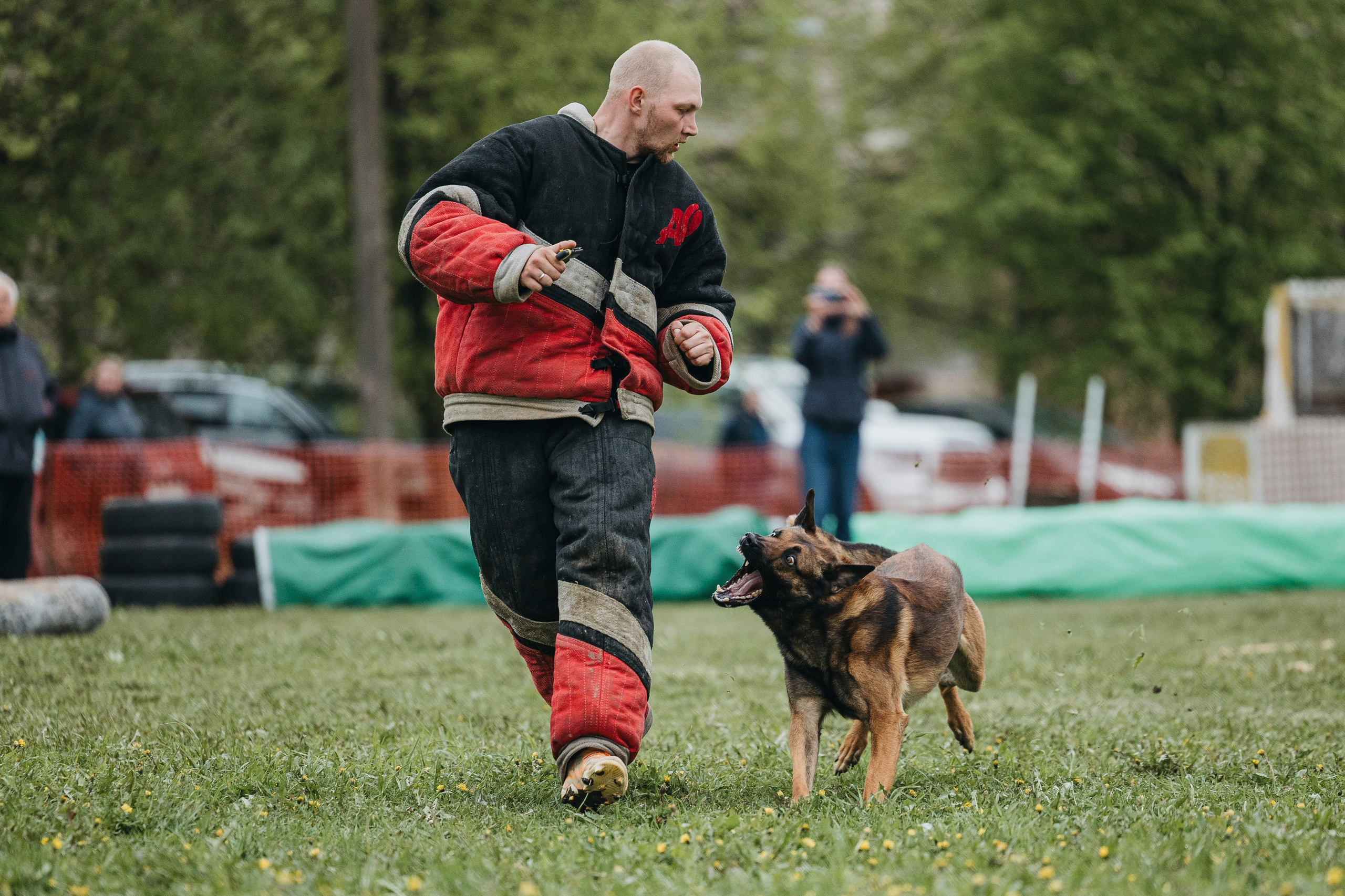 26.05.25 г. Пушкин квалификационные соревнования. Фотограф-анималист Анна Маринич