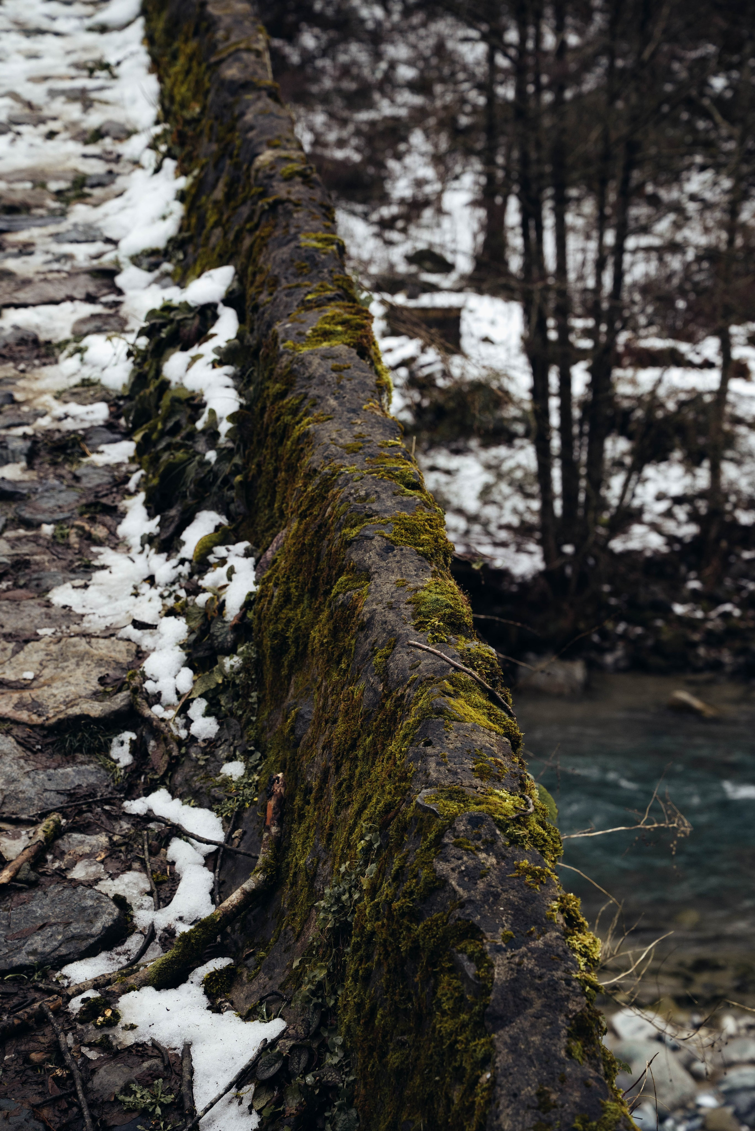 Ризе. Анна Лобанова | фотограф