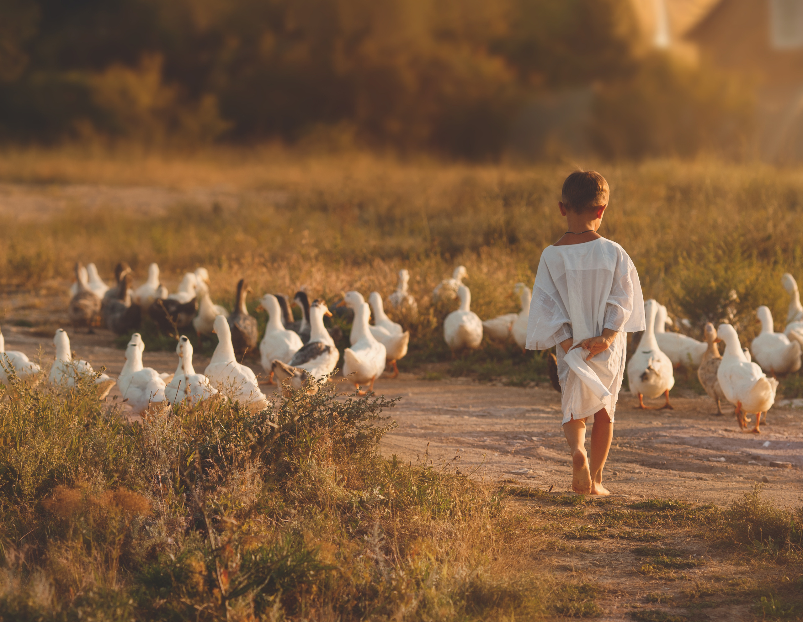 Детская Фотосессия. Семейный и детский фотограф Ansi Bay