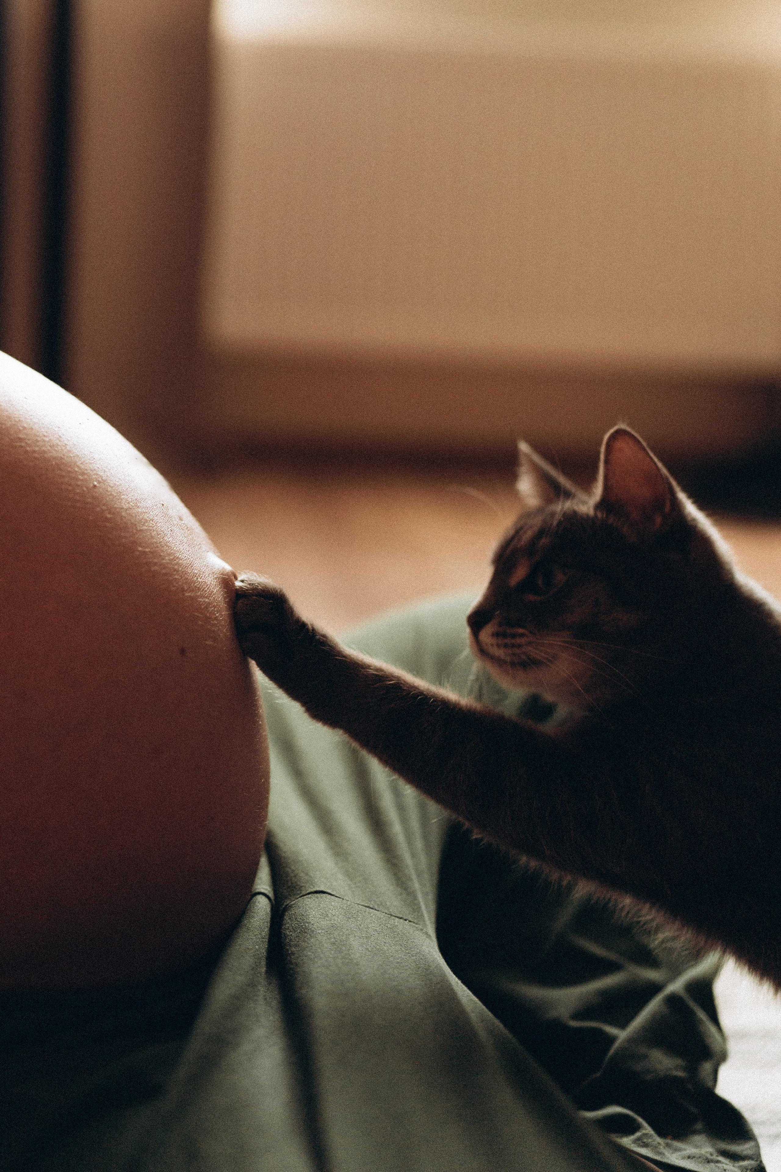 Фотограф Татьяна Воронова