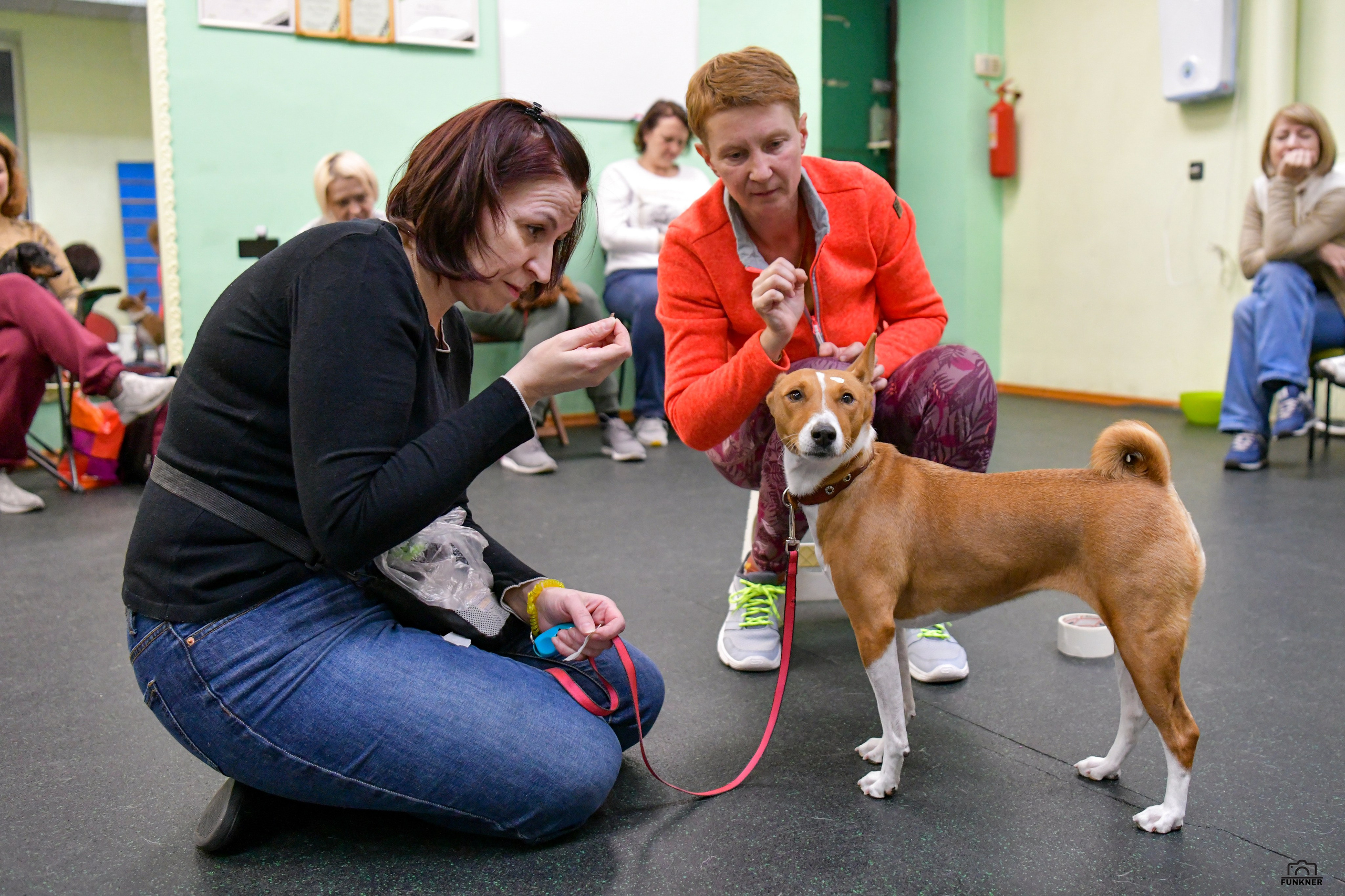 Кинологический клуб «Бодрый хвост». Свой взгляд через объектив