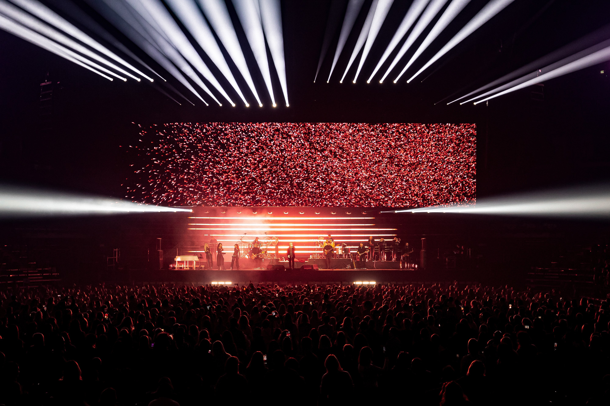 ВЛАДИМИР ПРЕСНЯКОВ / 2024. OOPS