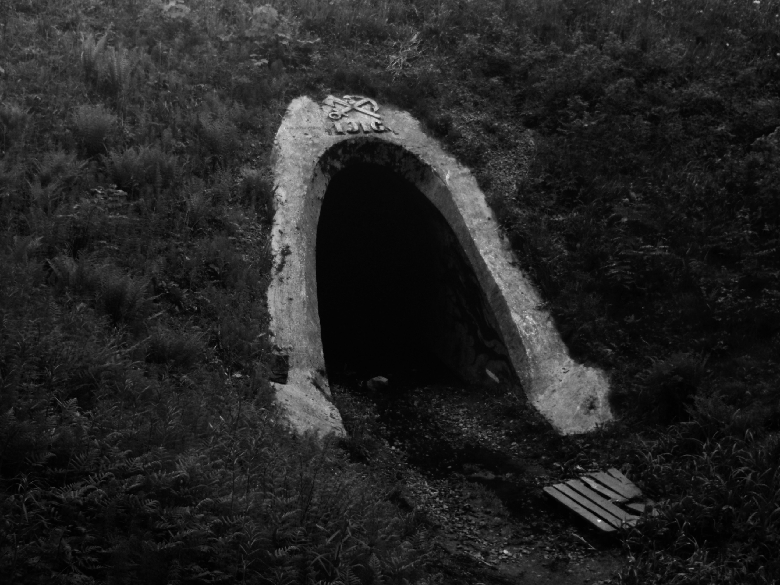 Olimpus mju 1030sw. Анна Мильч