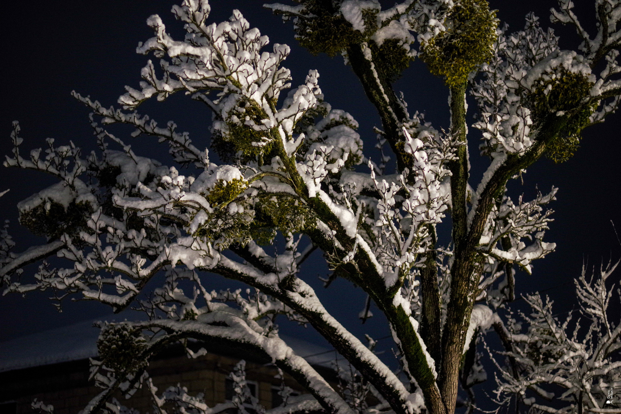 Ночь в Менджи. Портретный фотограф Денис Милютин