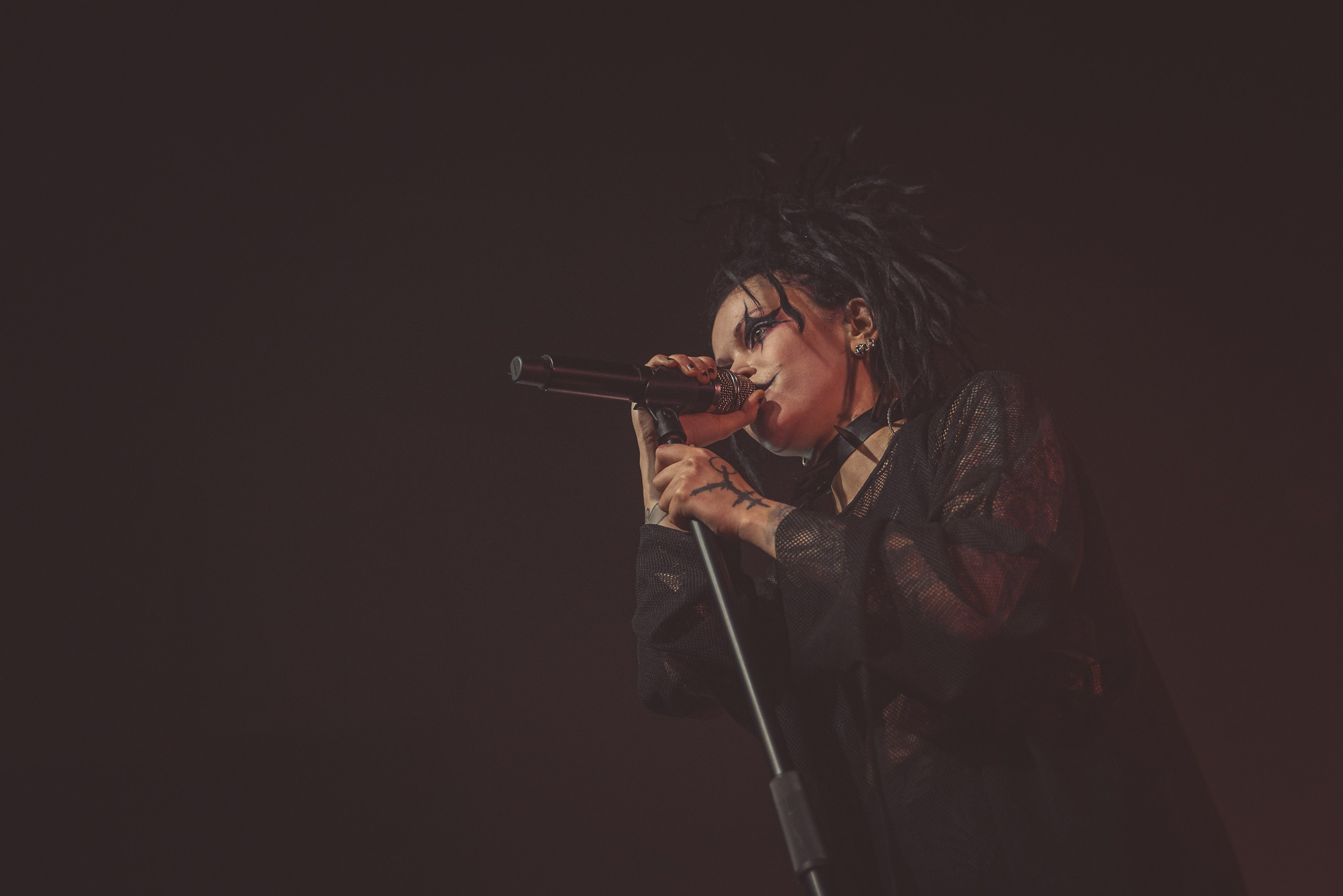 Концертное портфолио. Портфолио