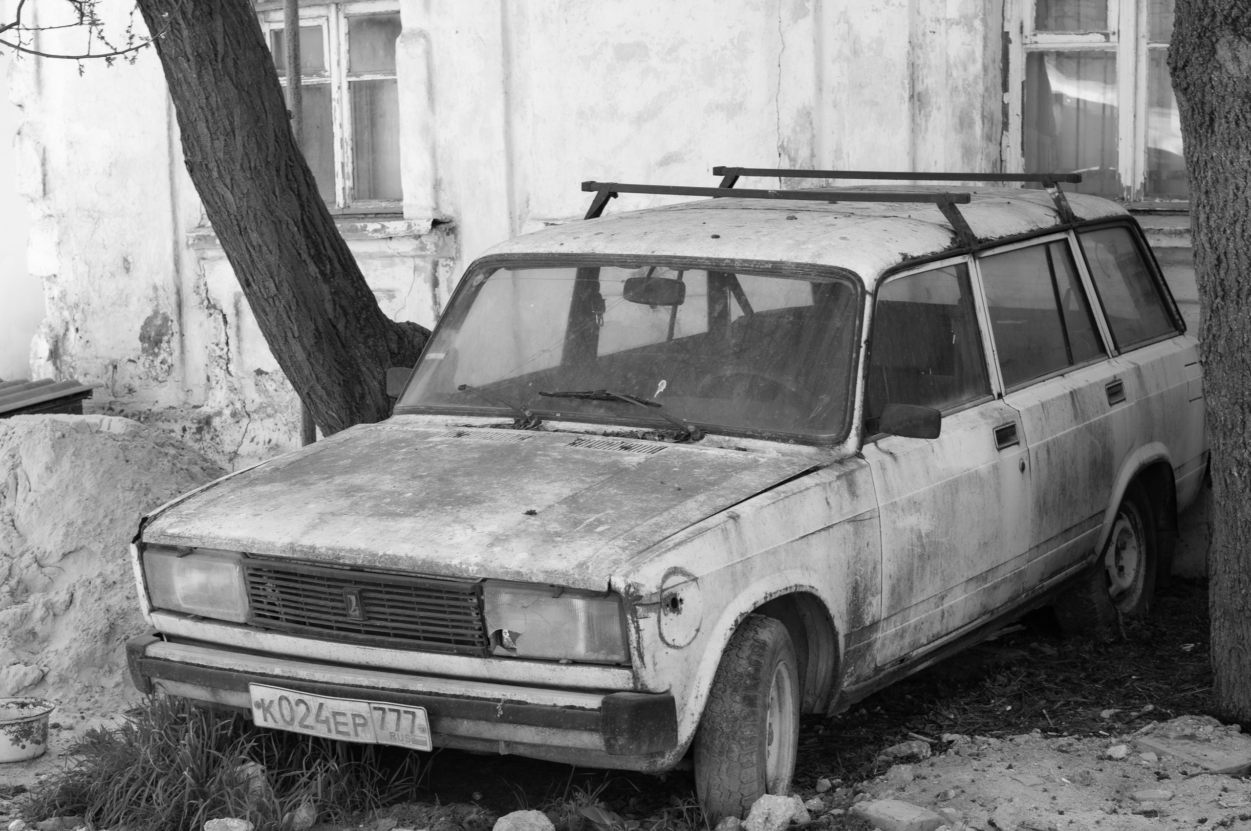 Для души. Сейчас вылетит ПТИЧКА! Фотосессии в Керчи