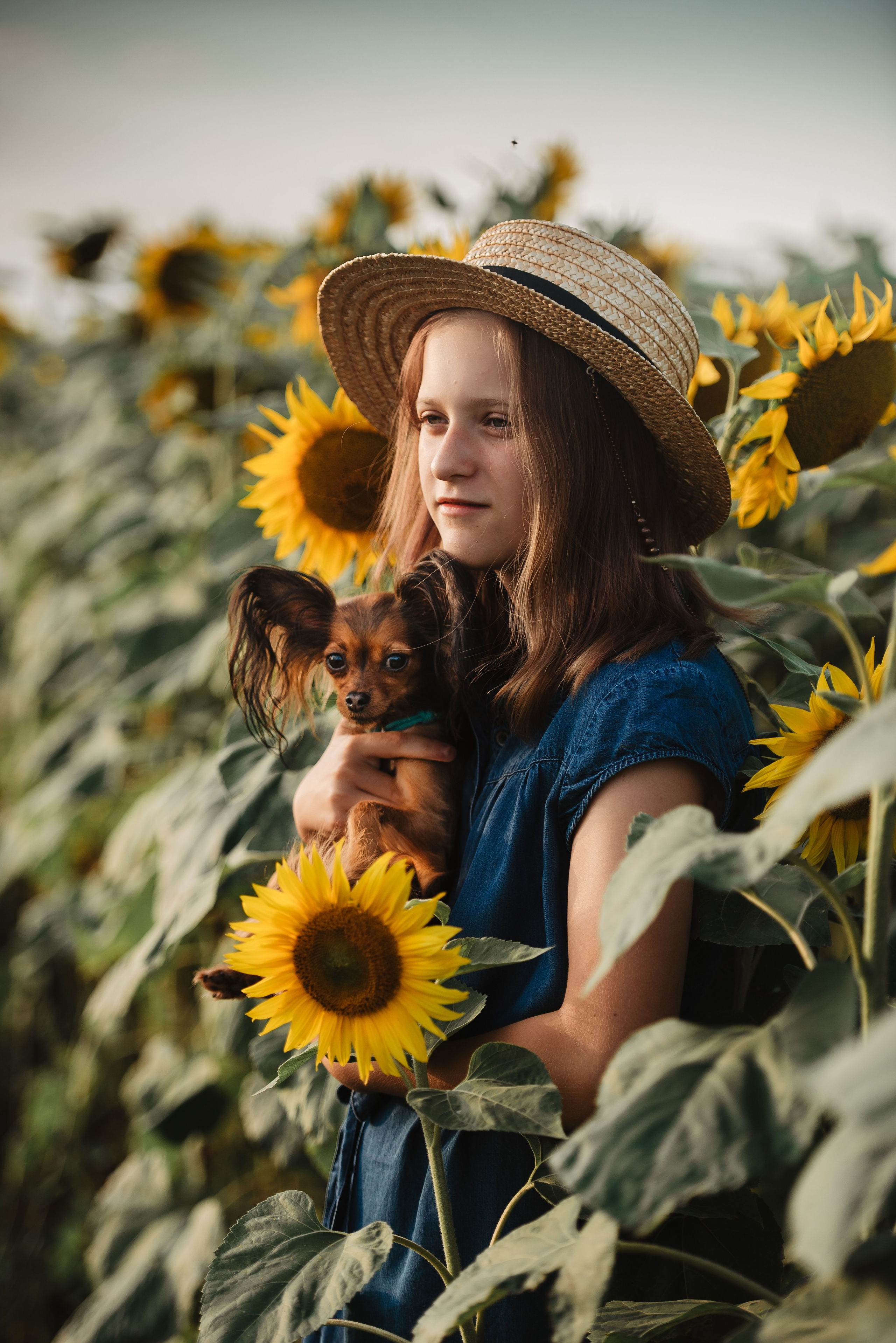 Прогулка в подсолнухах. Семейный Фотограф в Москве Ирина Хохлова