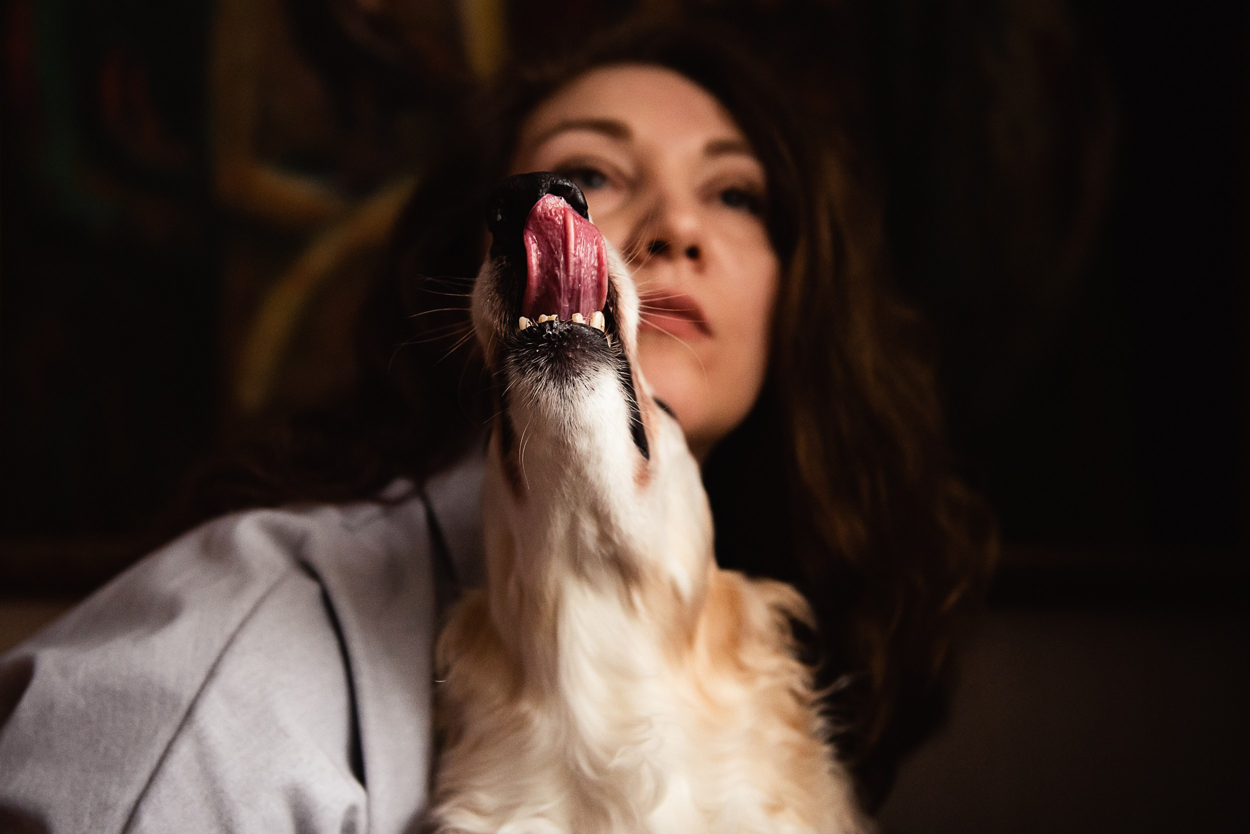 Квартира с картинами. Алиса, Андрей и их пушистая семья. Семейный Фотограф в Москве Ирина Хохлова