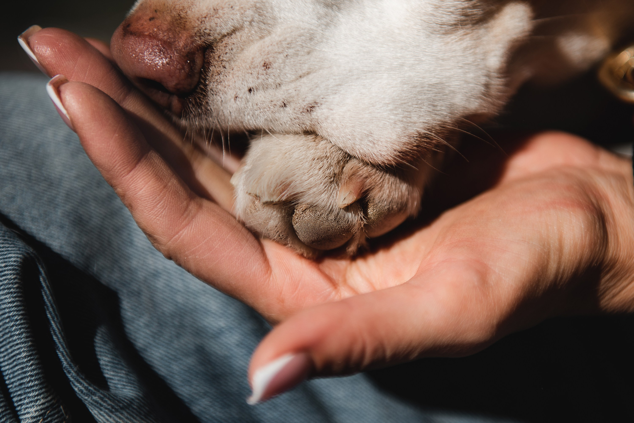 Оля и Ника. Семейный Фотограф в Москве Ирина Хохлова