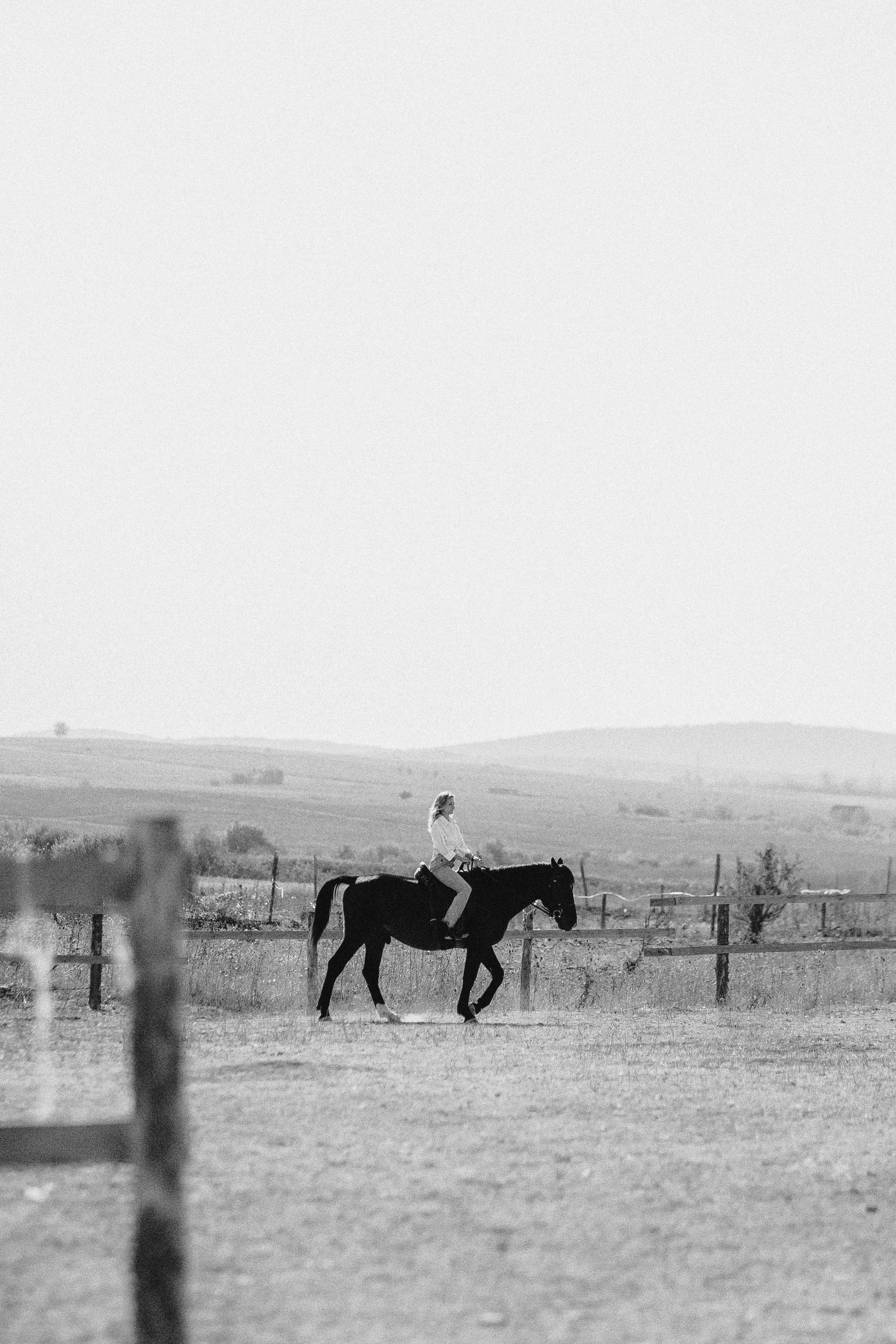 BlackHorse. Фотограф в Анапе Муратова Анна