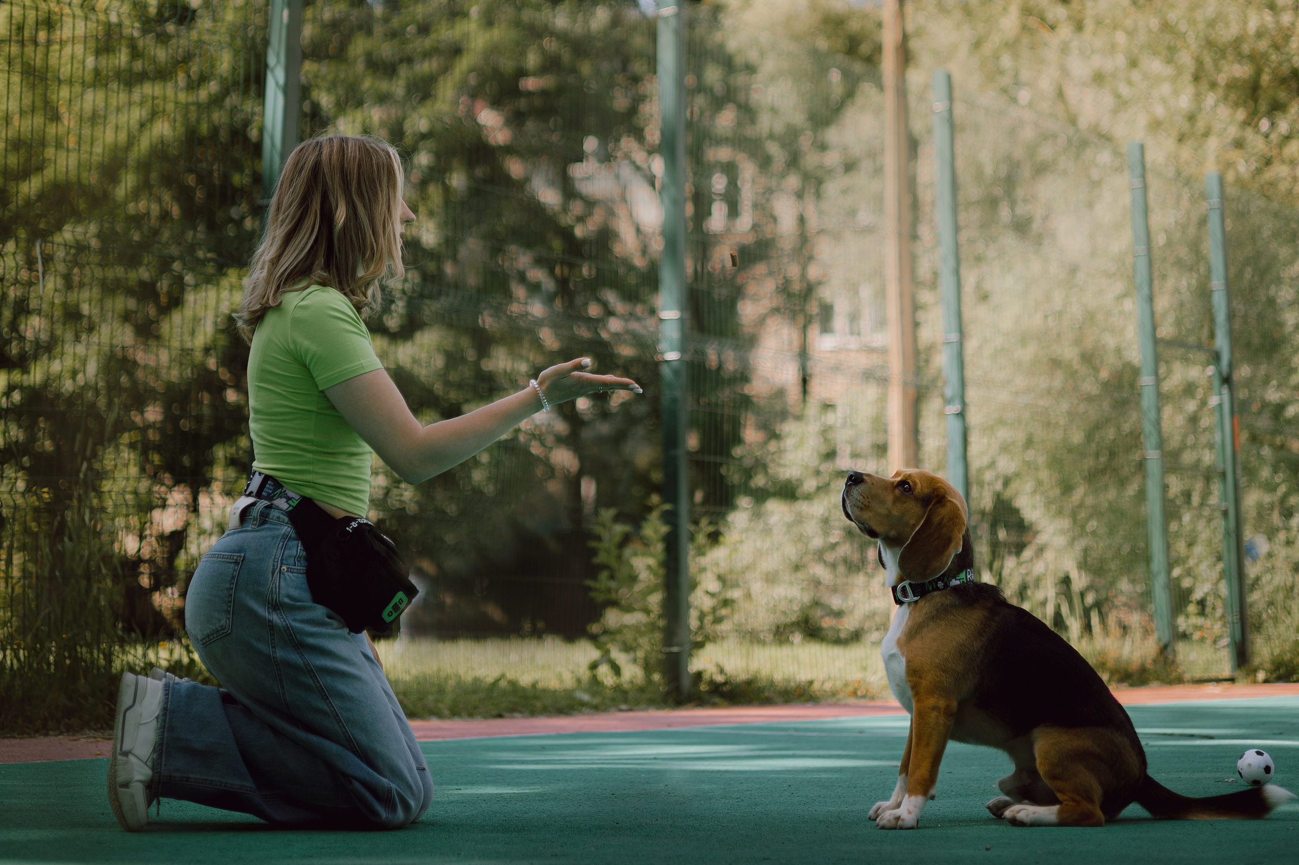 Оуджи и Катя. Фотограф — анималист •love-story•|Санкт-Петербург