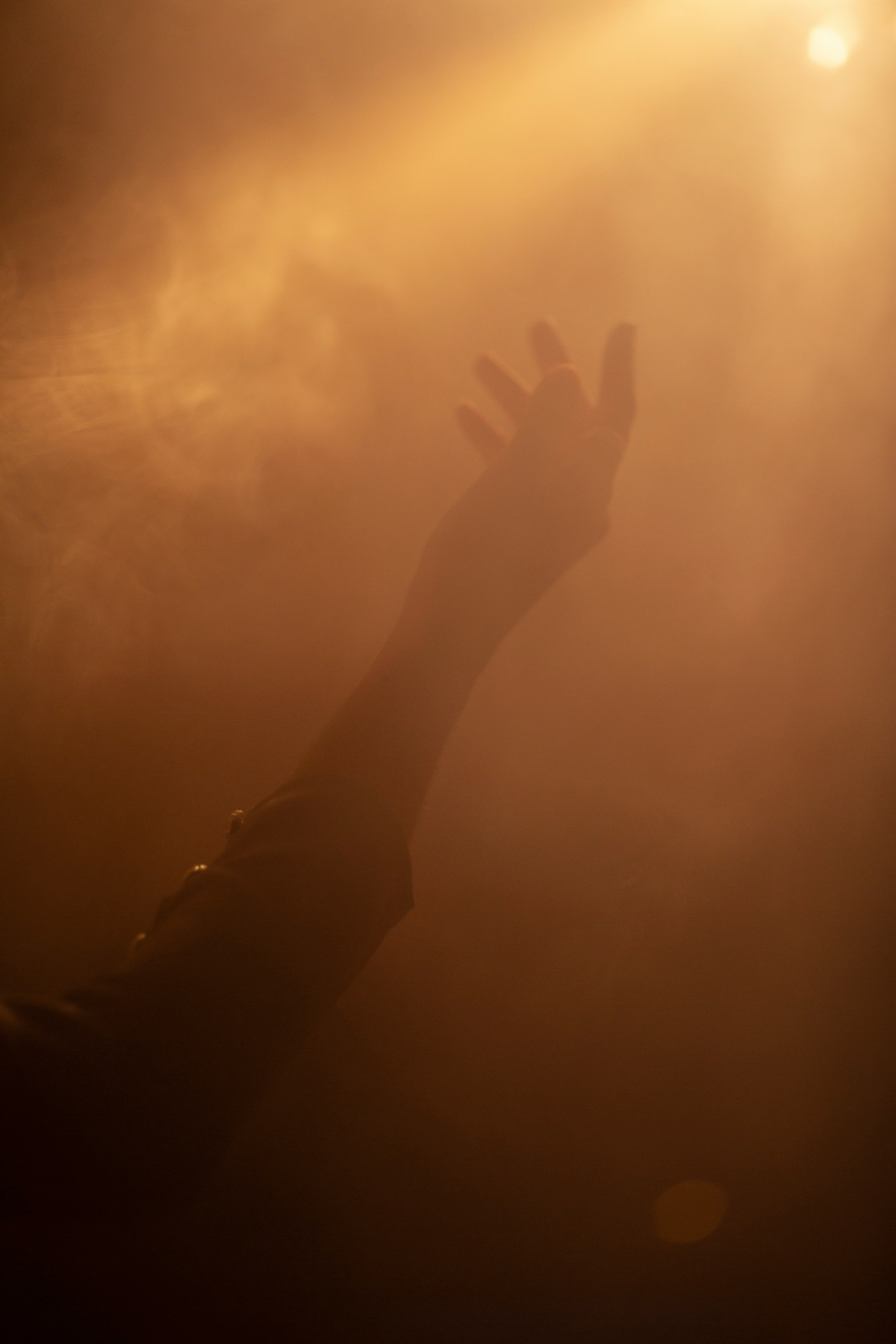 Катя, Дымка. 10sphoto