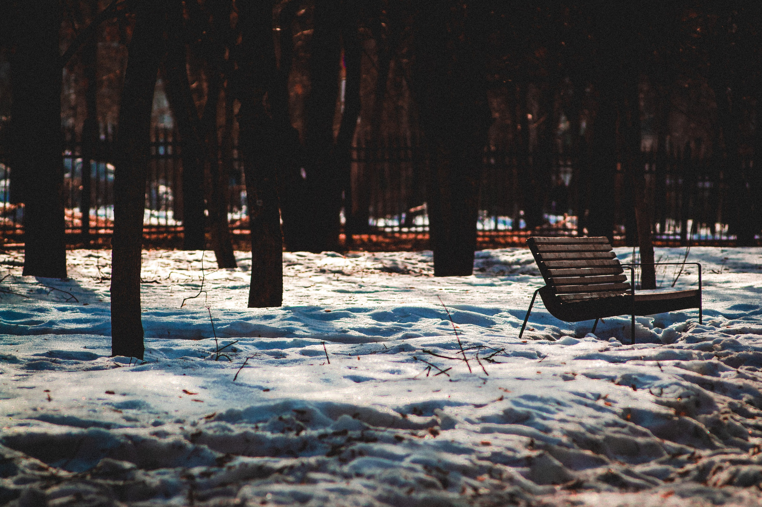 Со дна на вершину. Den Mirov — Фотограф, Музыкант