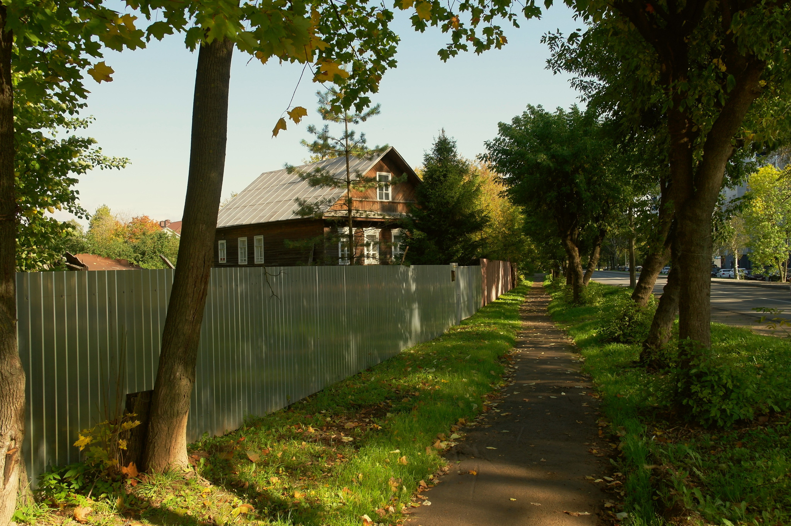 Сентябрь 2025. Den Mirov — Фотограф, Музыкант