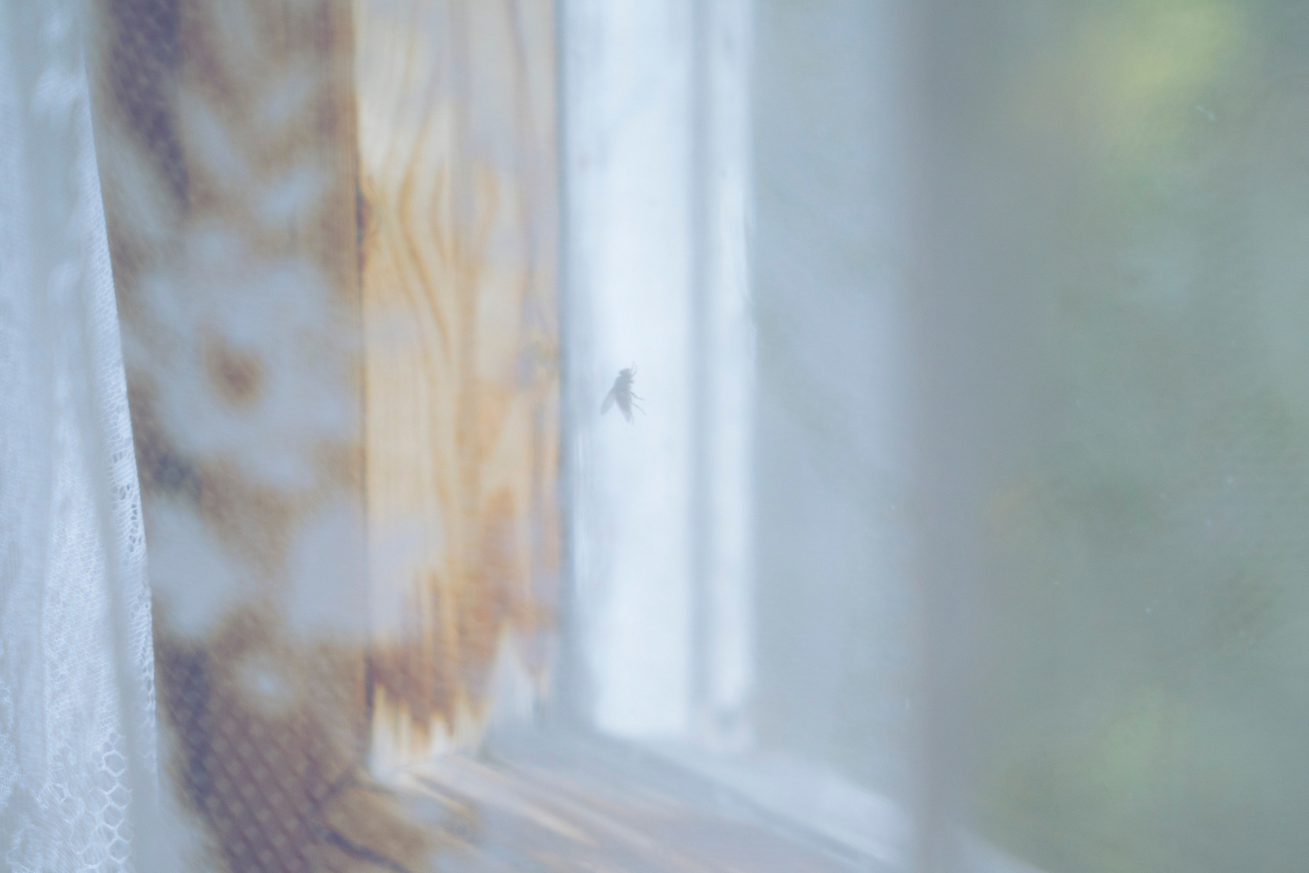 Молчановы. Многолетний проект о молодой семье. Фотограф в Москве Савкина Евгения