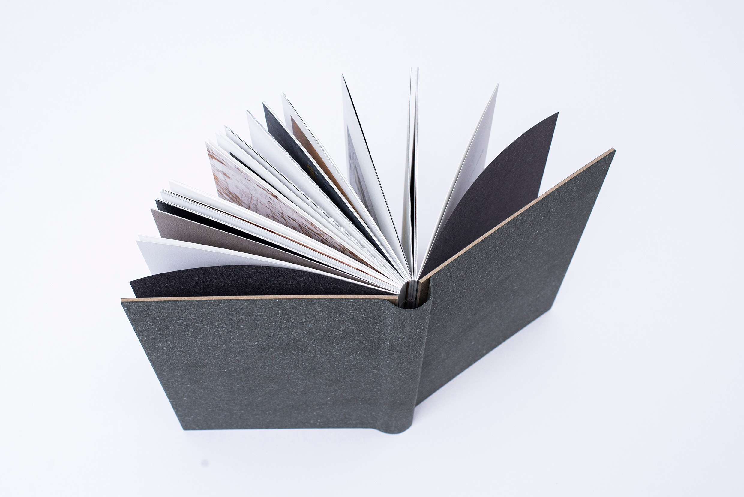 Книга. Фотограф в Москве Алейникова Евгения