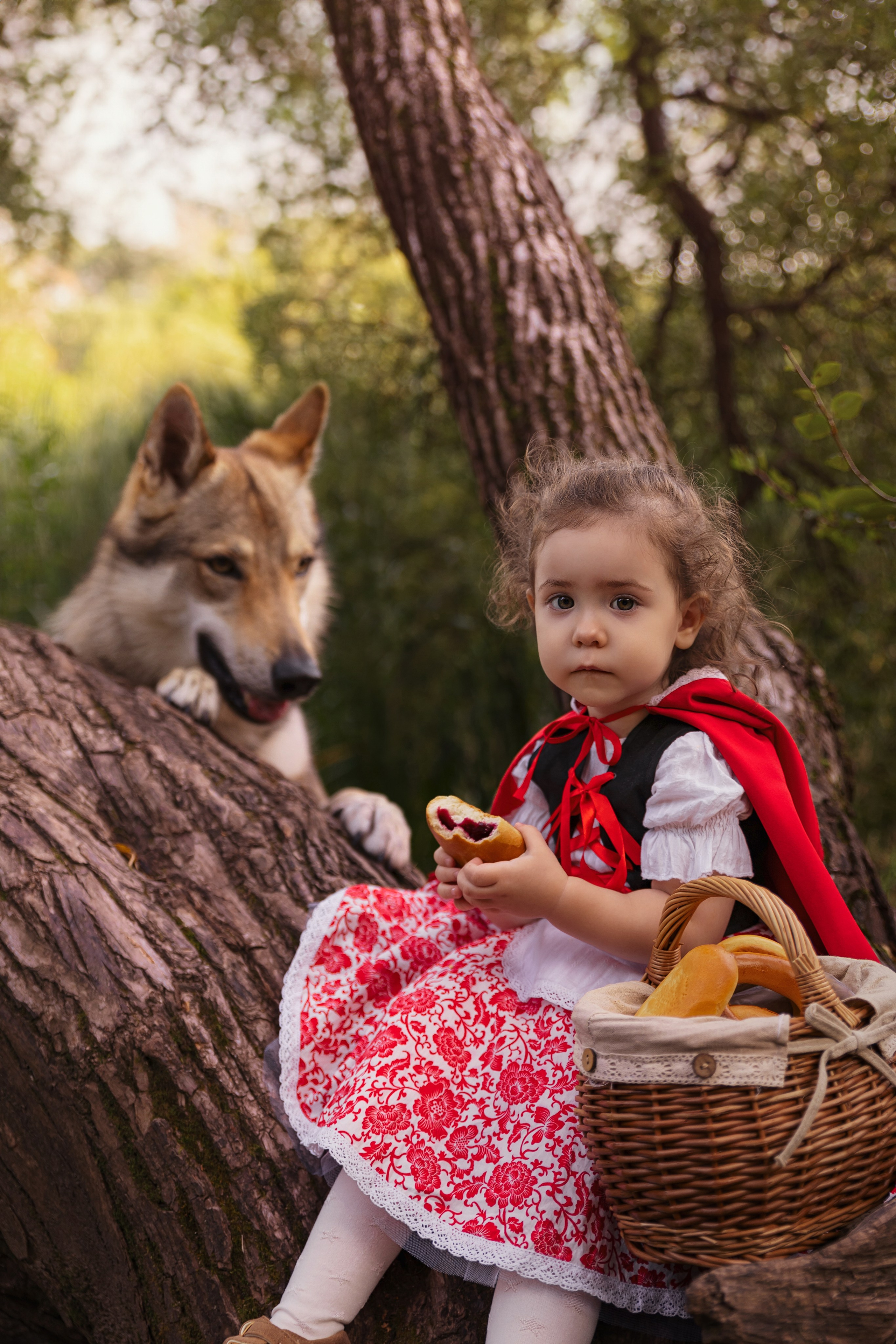 История невероятно храброй и милой Красной шапочки). Трубинова Екатерина | Семейный фотограф | Москва