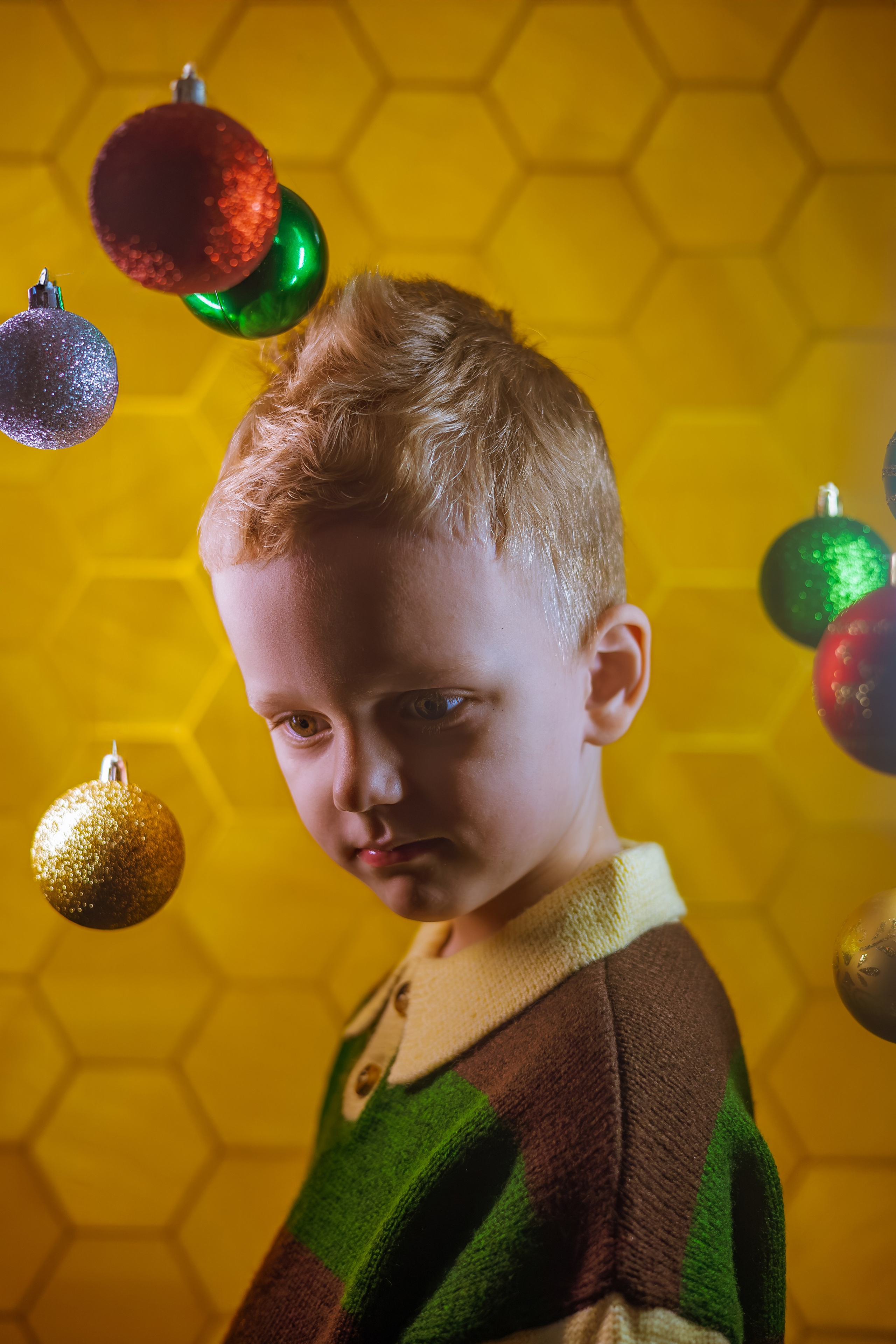 Домашний фотограф 