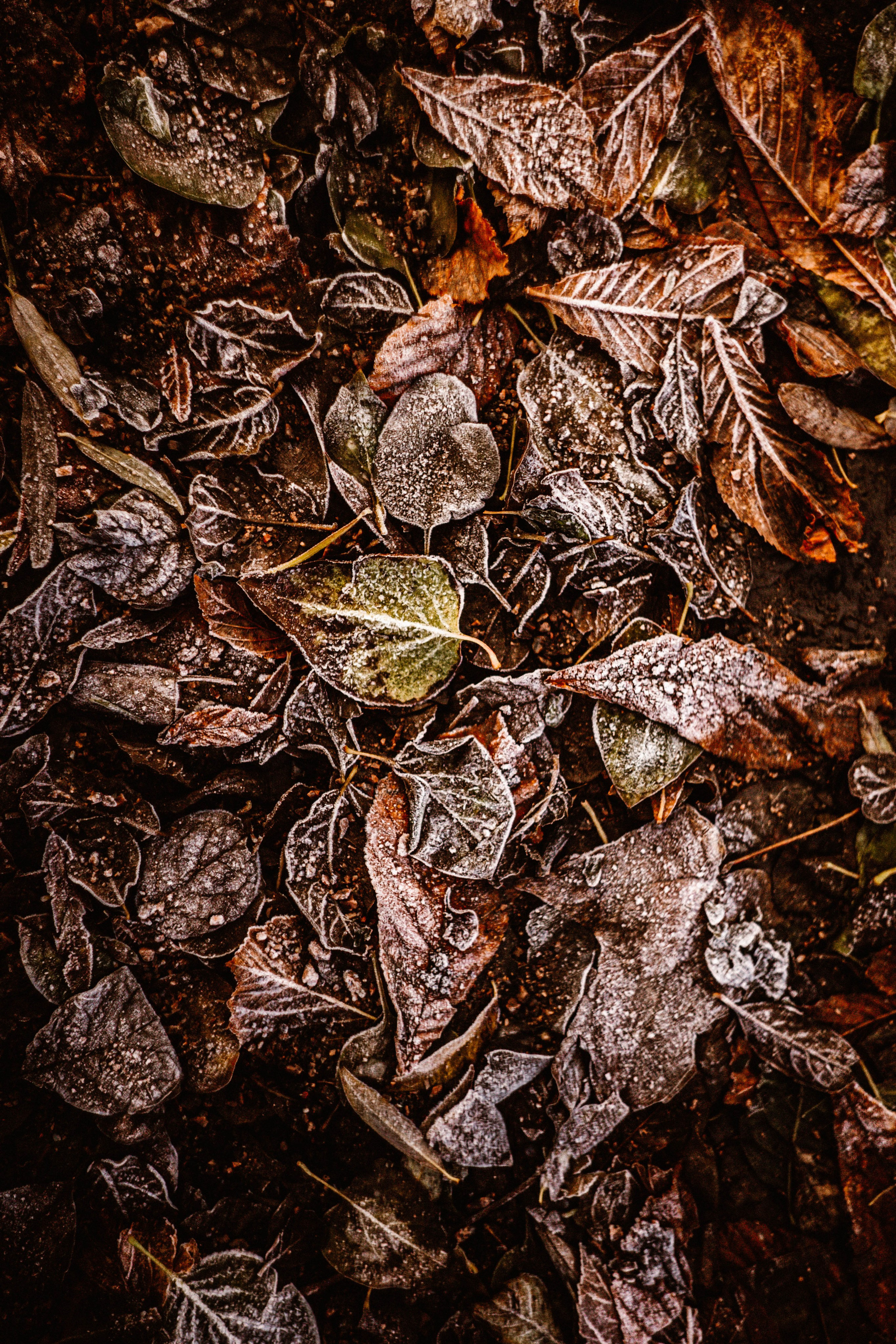 Питер / 24. Фотограф в Нижнем Новгороде