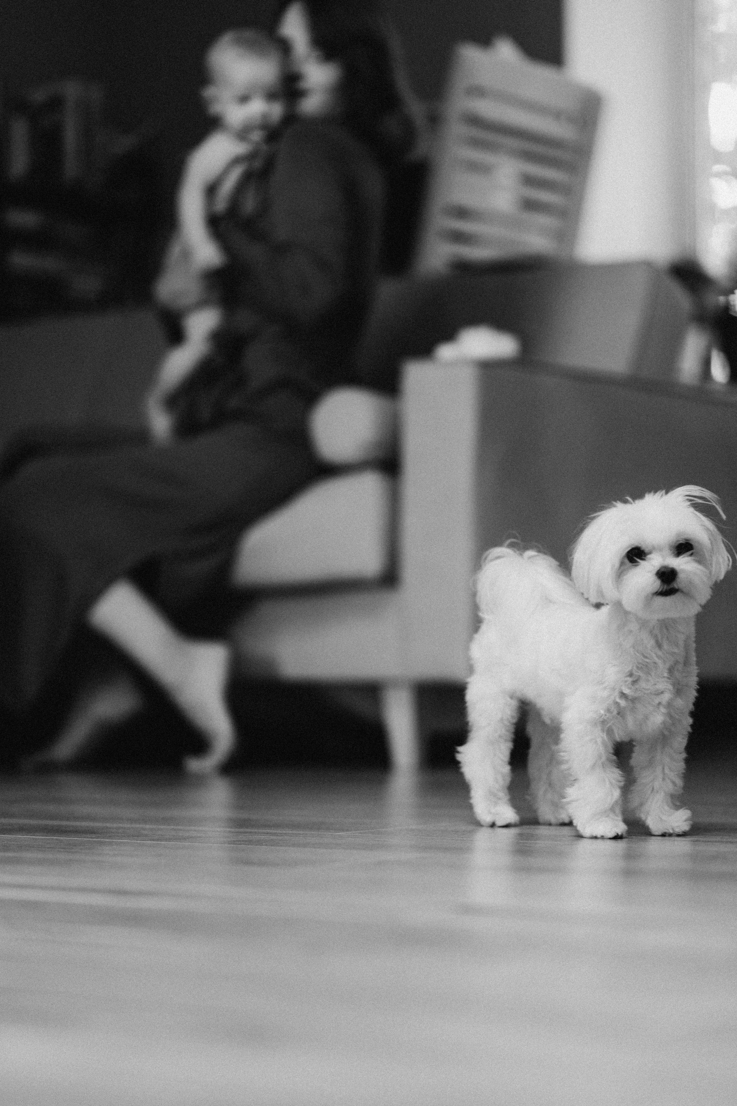 Малыш. Фотограф из Петербурга