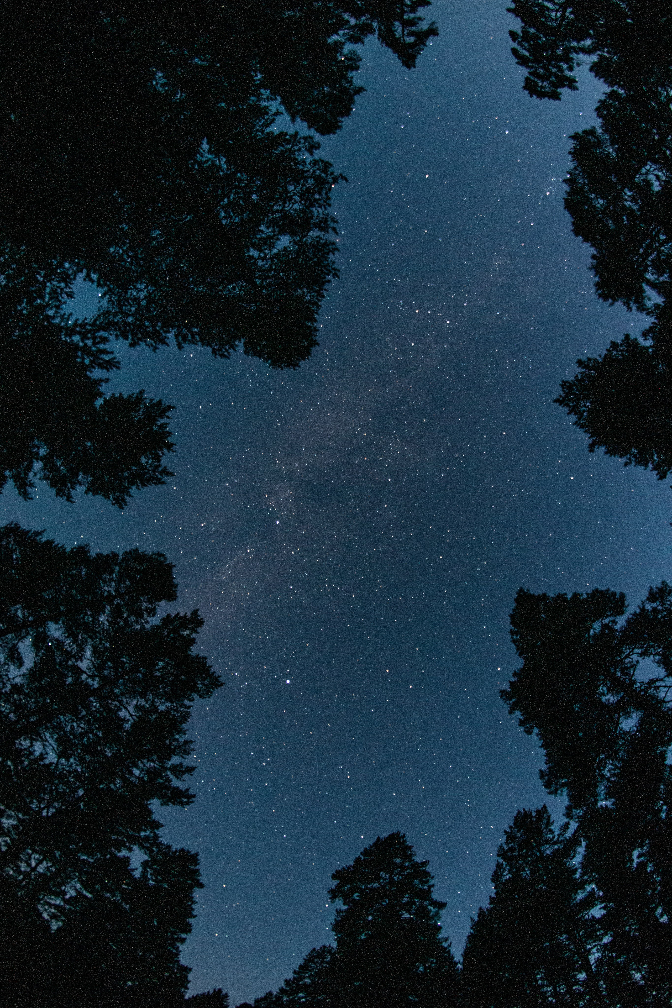 И вокруг меня. Портретный и концертный фотограф в Санкт-Петербурге Егор Телятников
