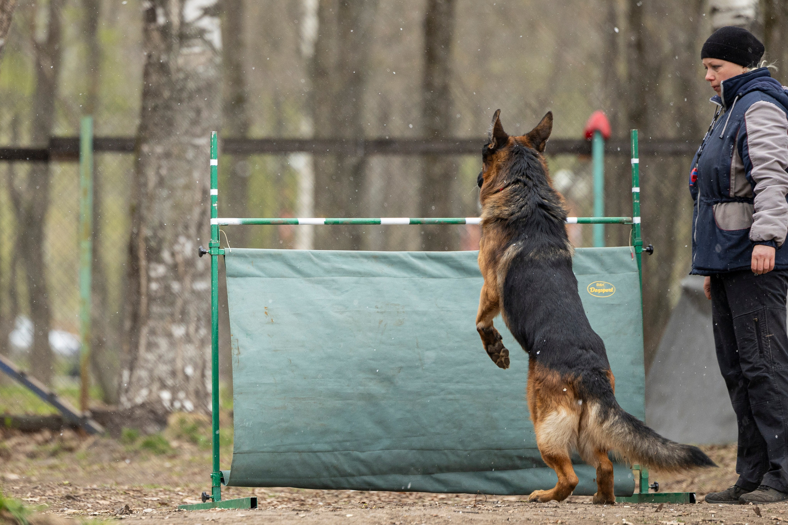 Квалификационные состязания по мондьорингу г. Вологда 11.05.24. Фотограф-анималист Анна Маринич