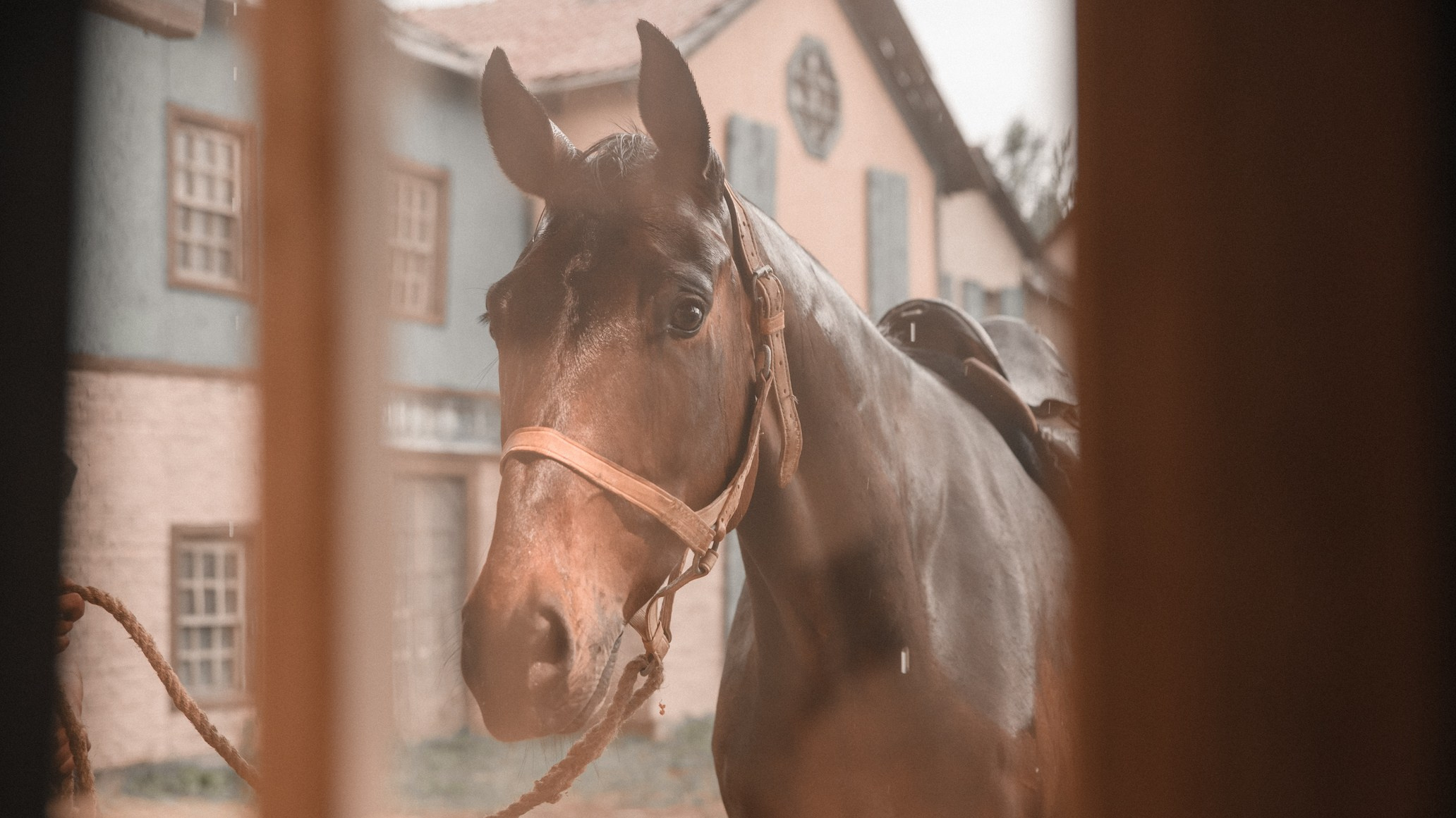 Фото с МК. Москва. Киногород Piligrim Porto. Фотограф Илья Ковалев в Волгограде