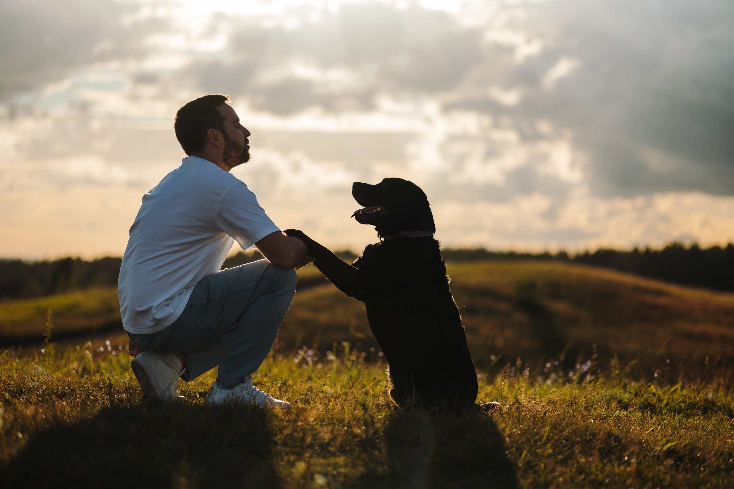 Бомбей и его семья. Фотограф — Анималист | Санкт-Петербург