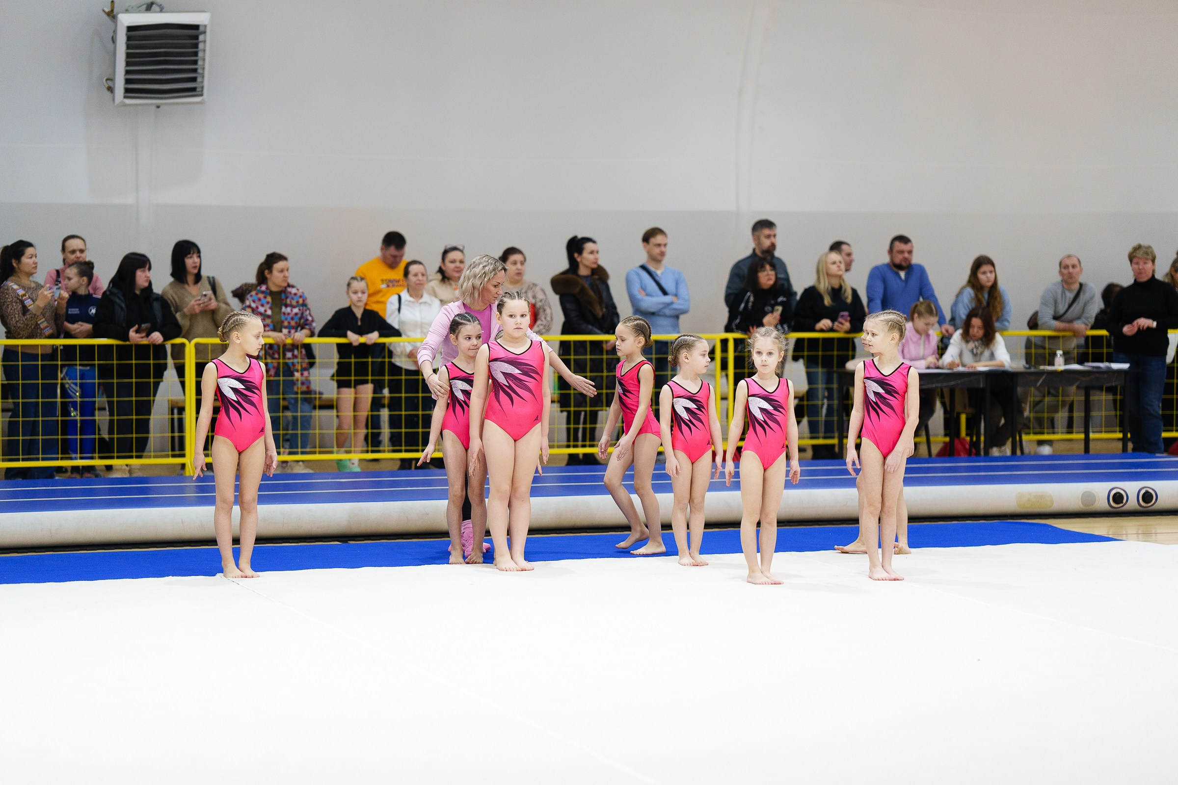 Гимнастика. Фотограф Москва