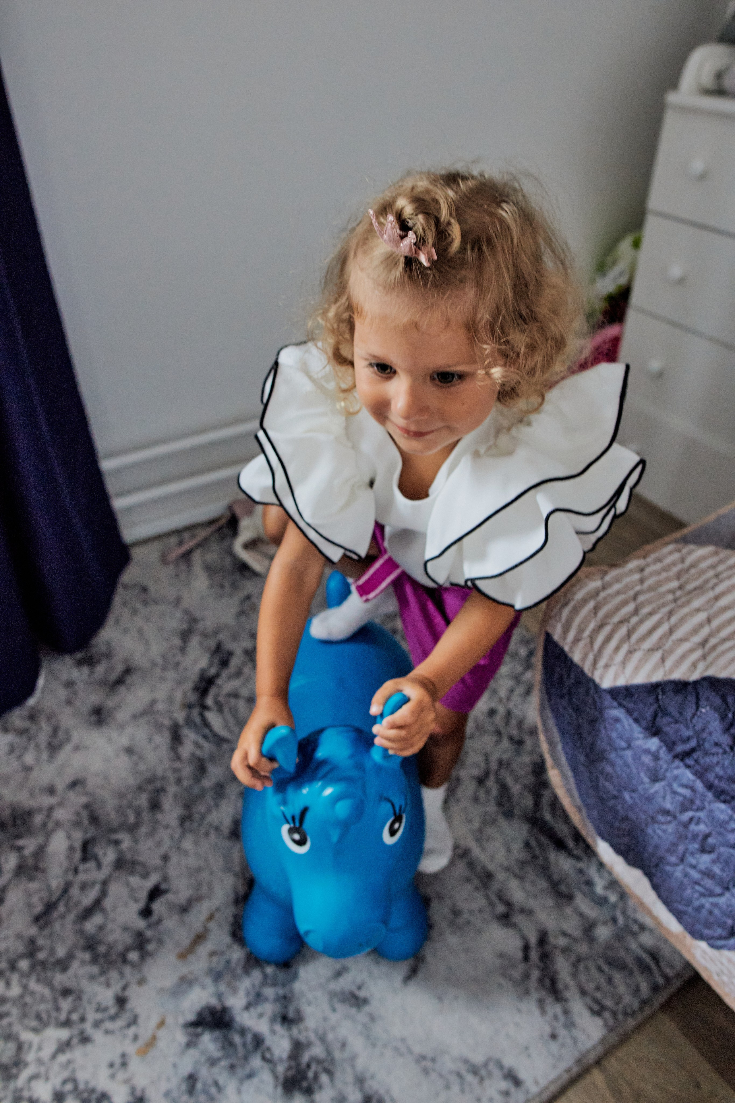 Три кота. Фотограф Москва