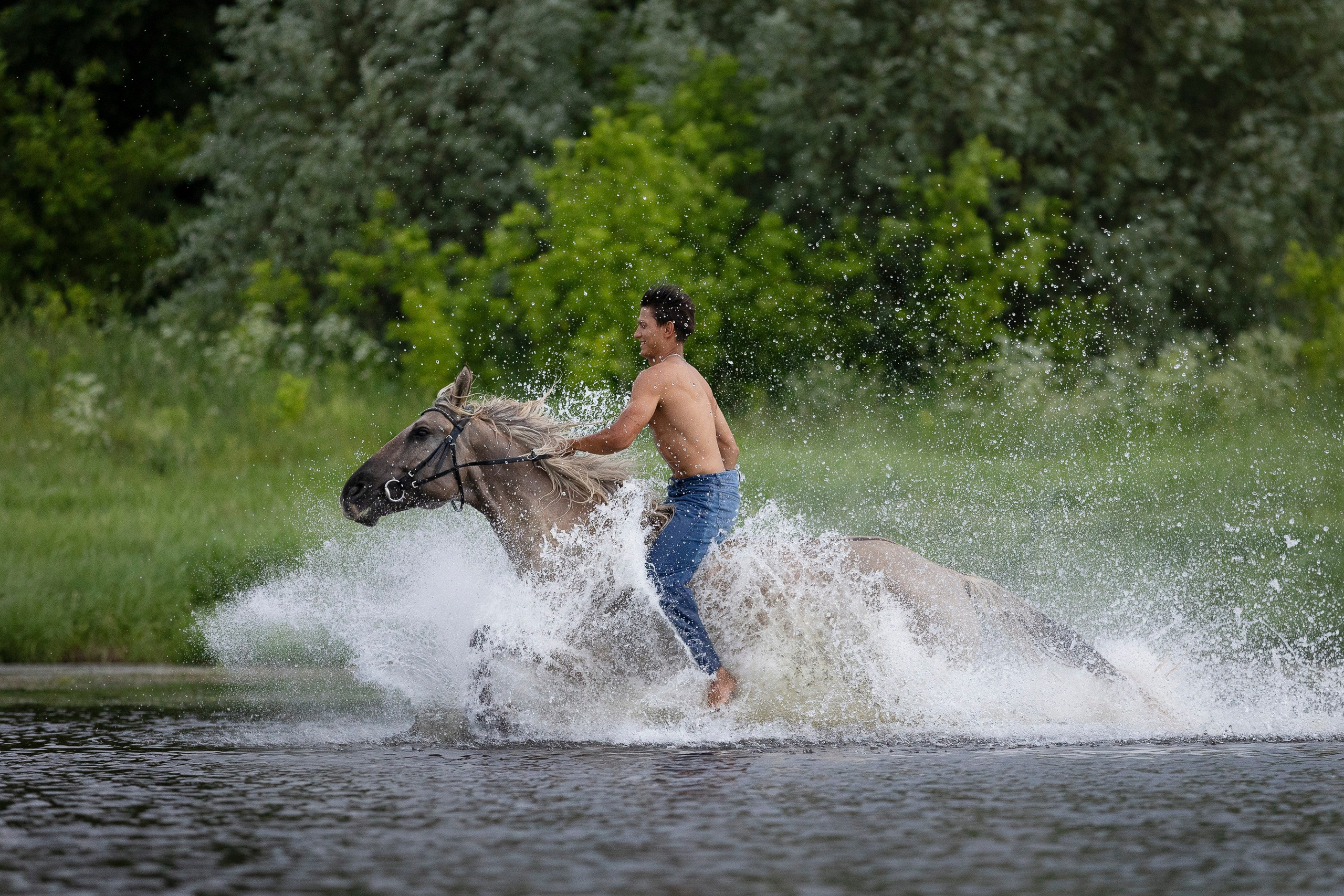 Аванпост. Фотограф анималист, семейный фотограф, фотограф собак Комратова Мария. г. Москва