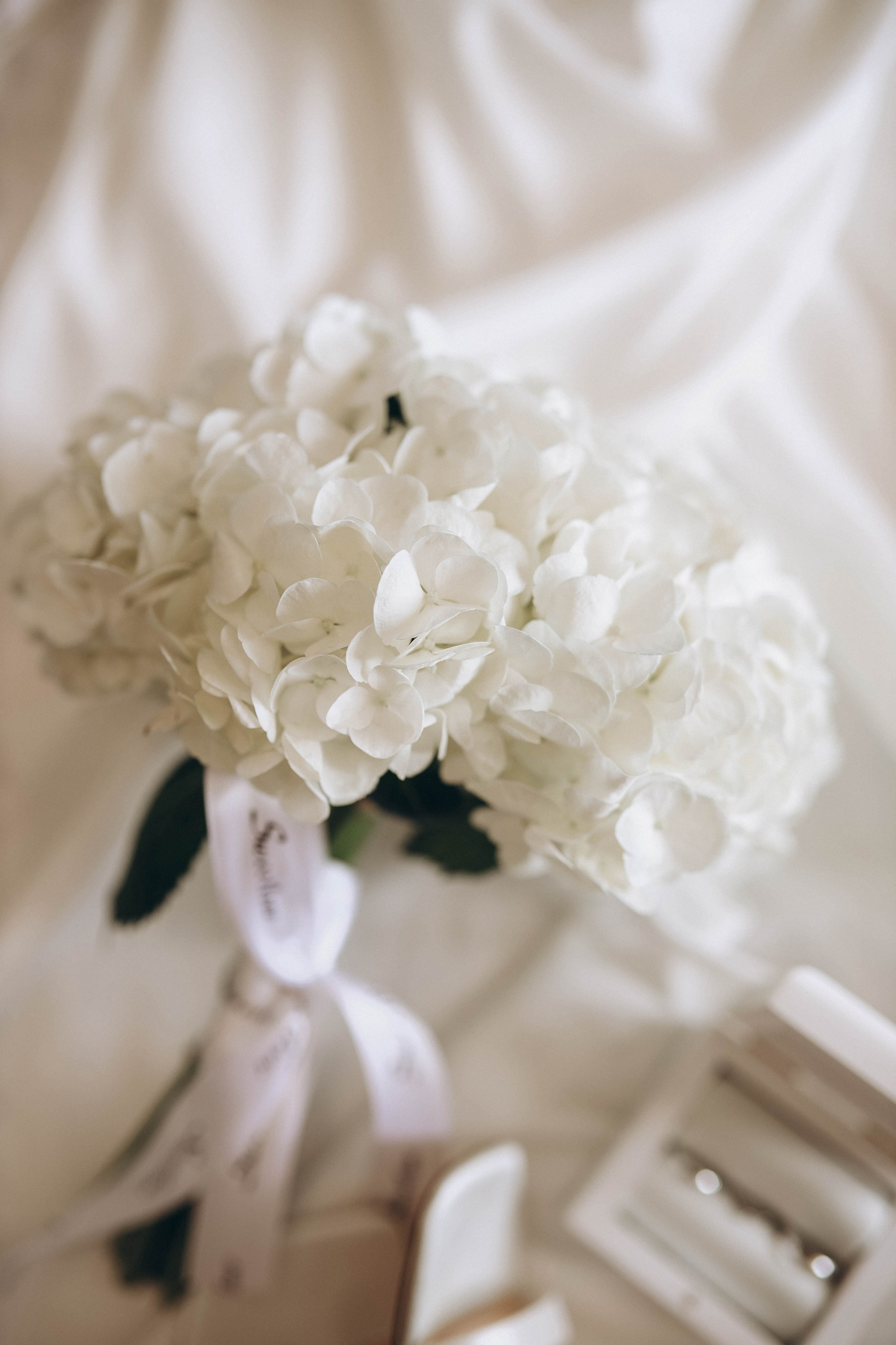 Z&D 7.09.2024. Свадебный и семейный фотограф Елизавета Артемьева