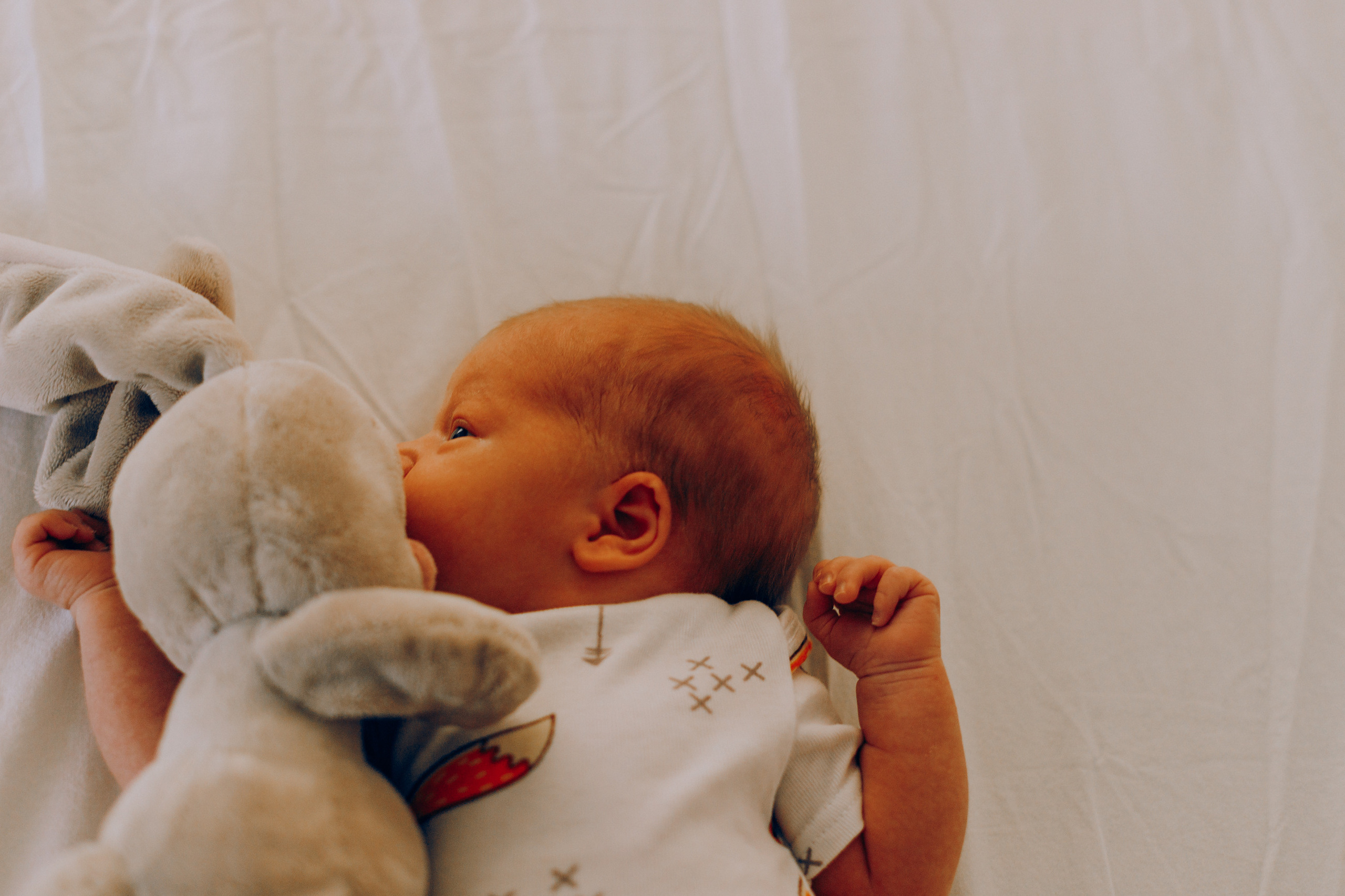 Младенец. Фотограф в Самаре, Отрадном и Кинель-Черкассах Валентина Шевцова