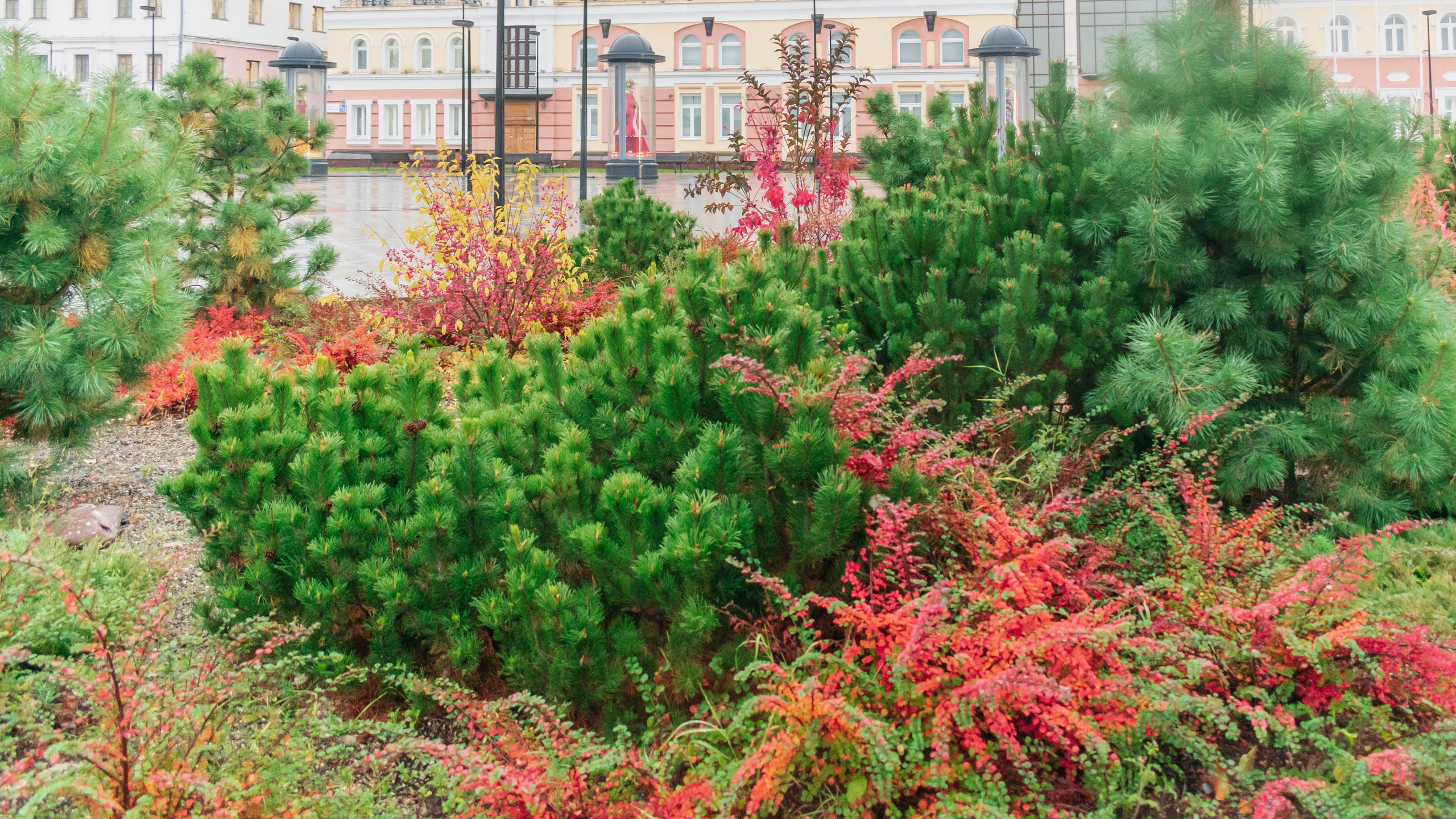 Чебоксары. Фотограф в Набережных Челнах Мари Сенчик