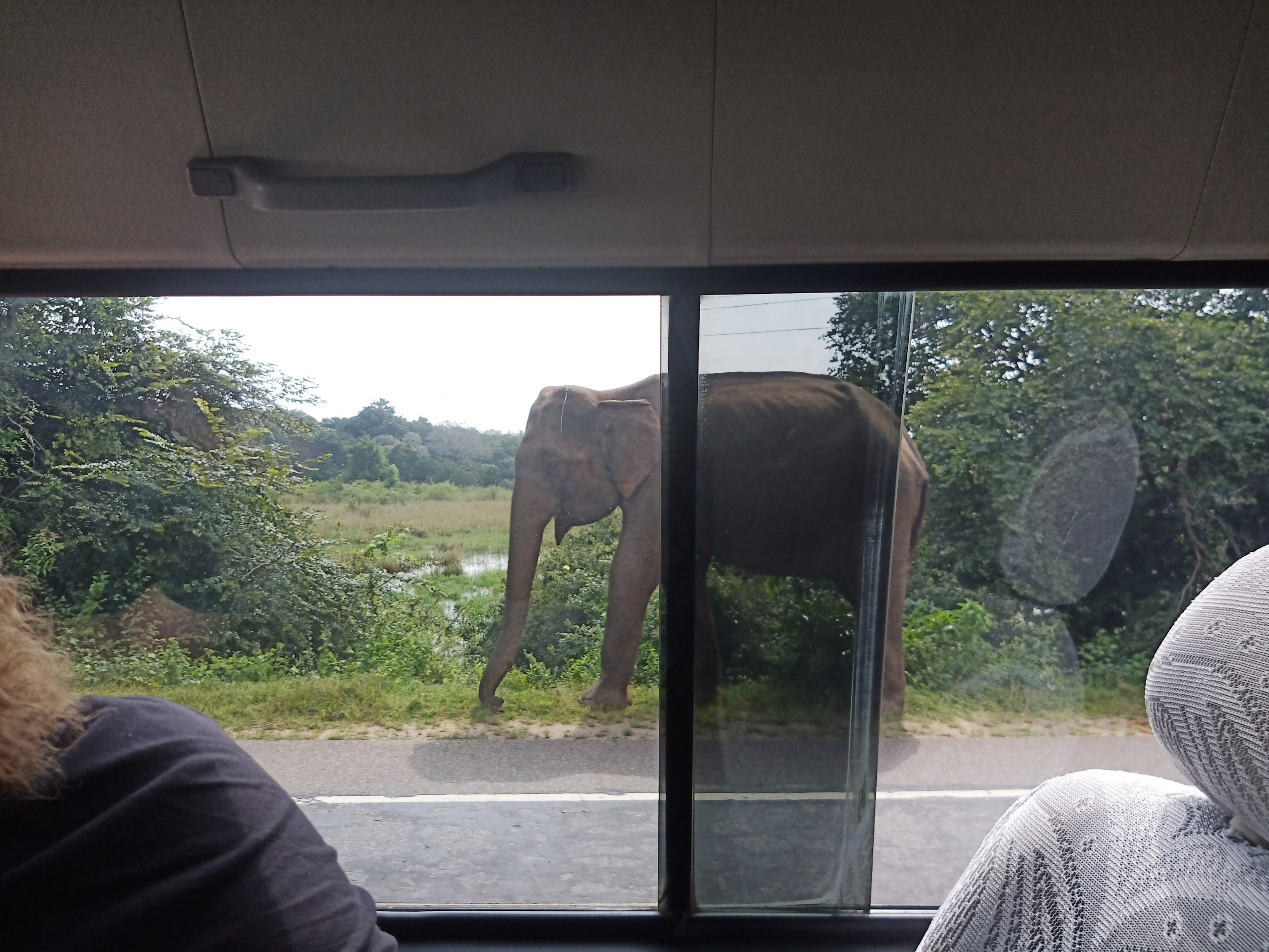 Шри-Ланка | 31.01 — 10.02.2025. Галерея Фантим