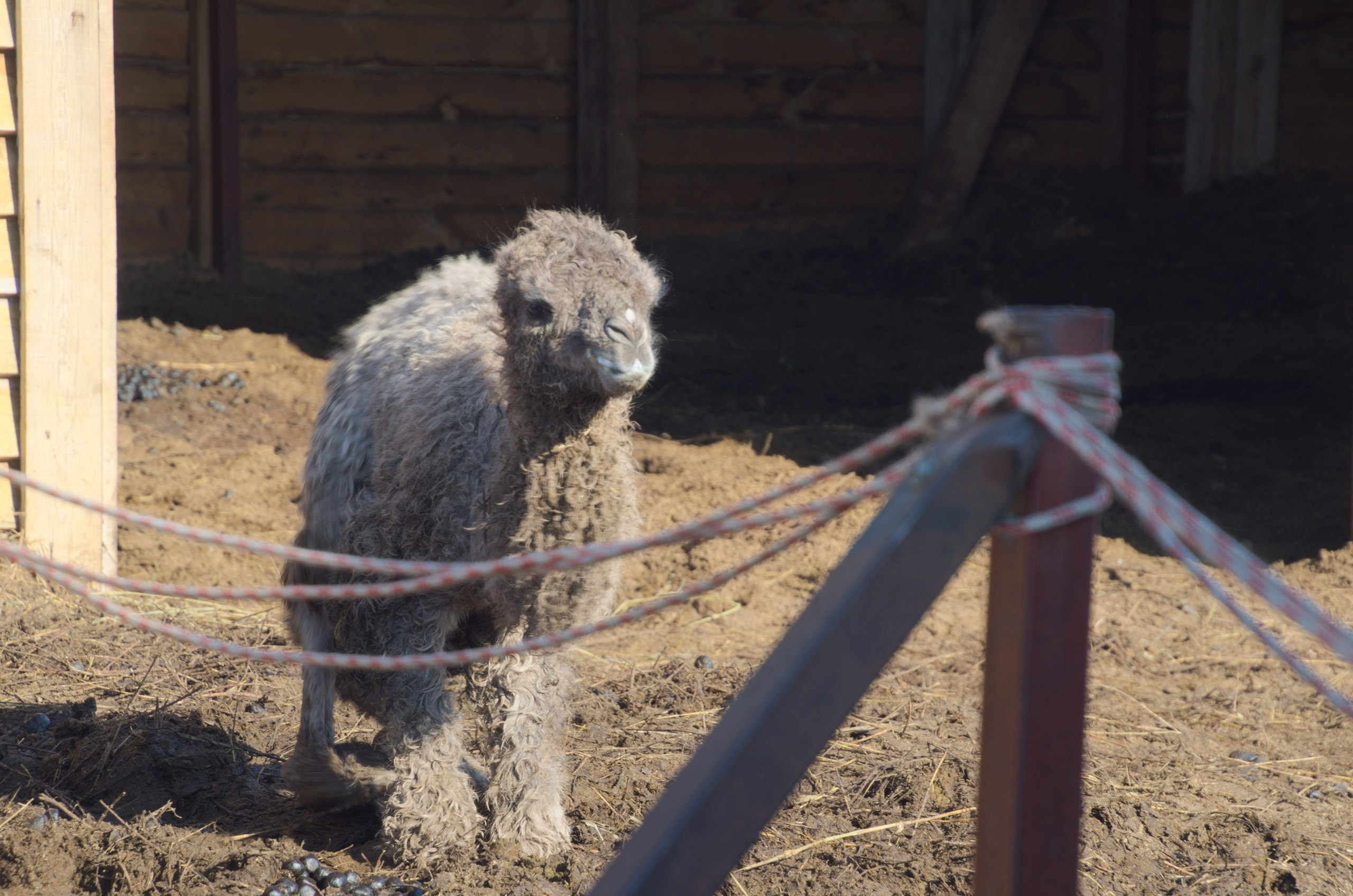 Казань | 24-26.03.2017. Галерея Фантим
