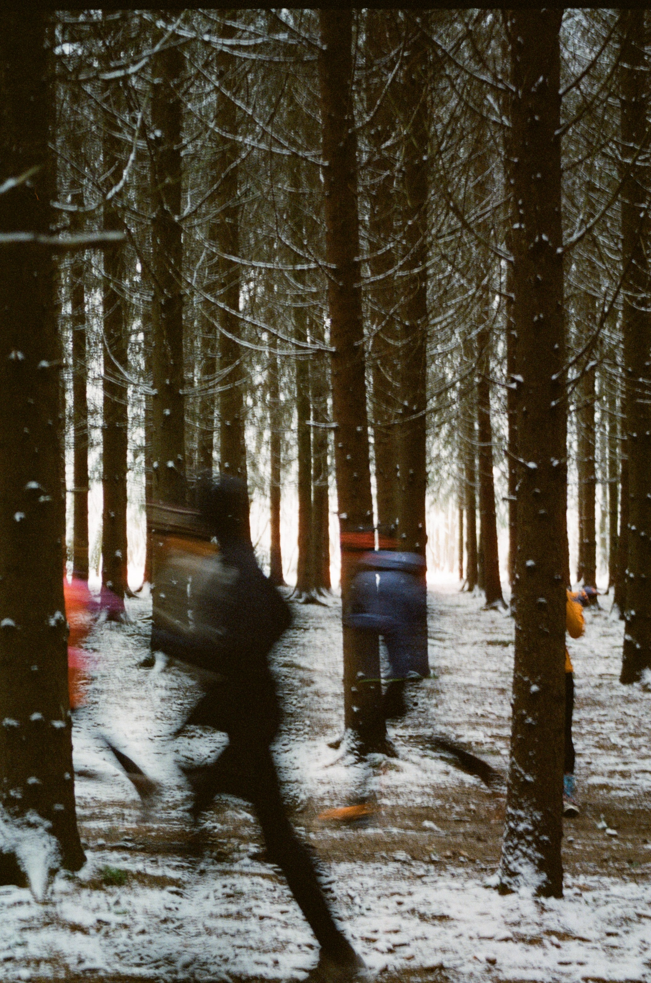 Марафон у Дома | Бутовский лесопарк. Фотограф Диана Иремадзе