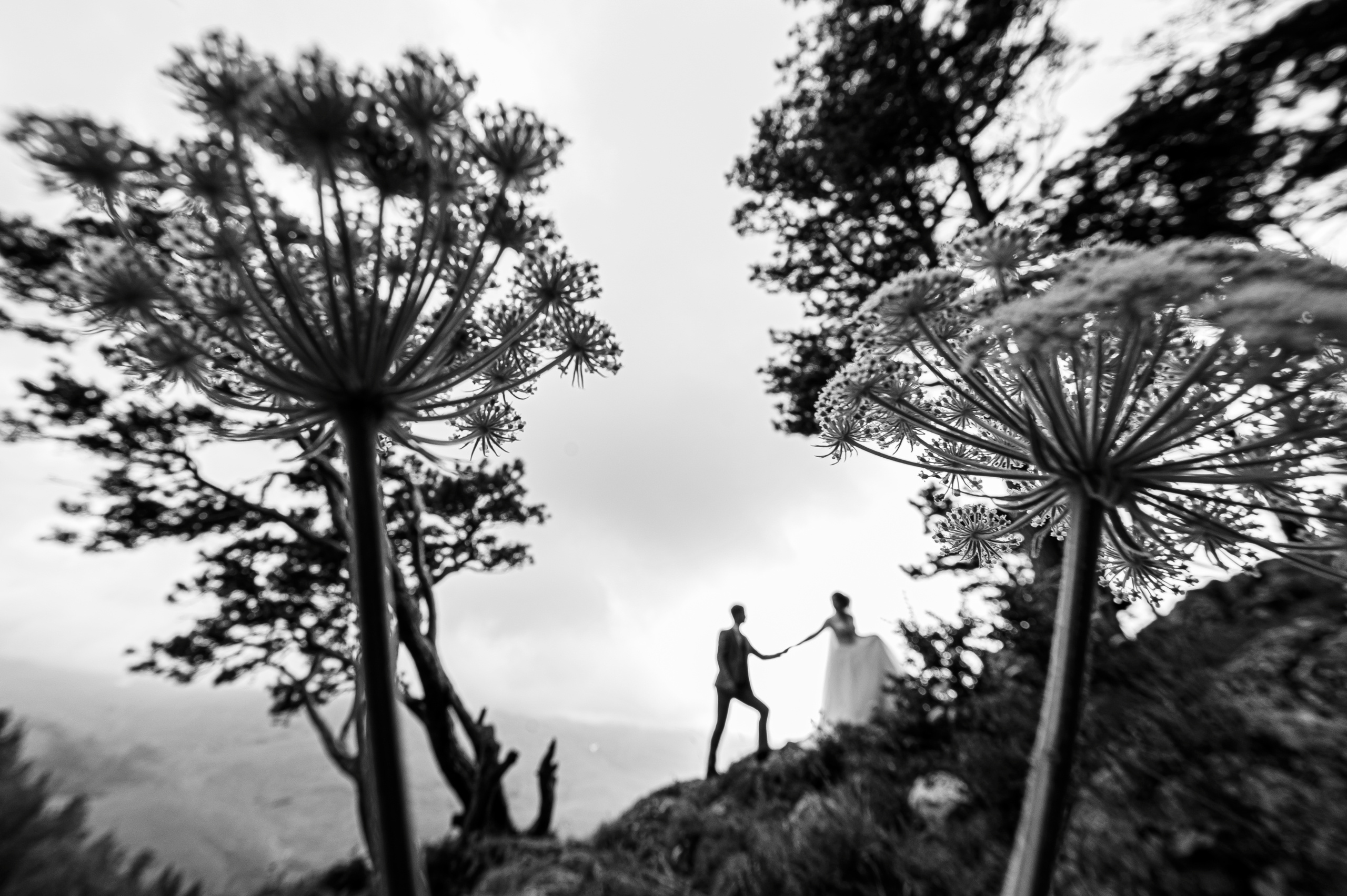 Свадьбы. Свадебный и семейный фотограф  в г.Краснодар